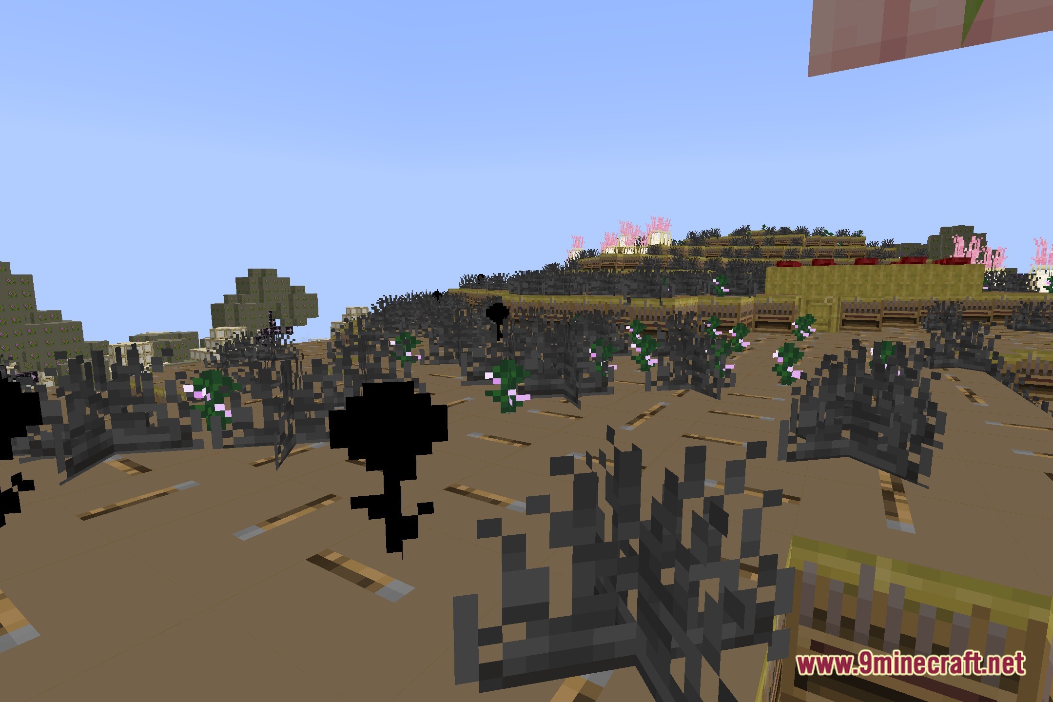 Randomizer Shaderpack Shaders Screenshot 5