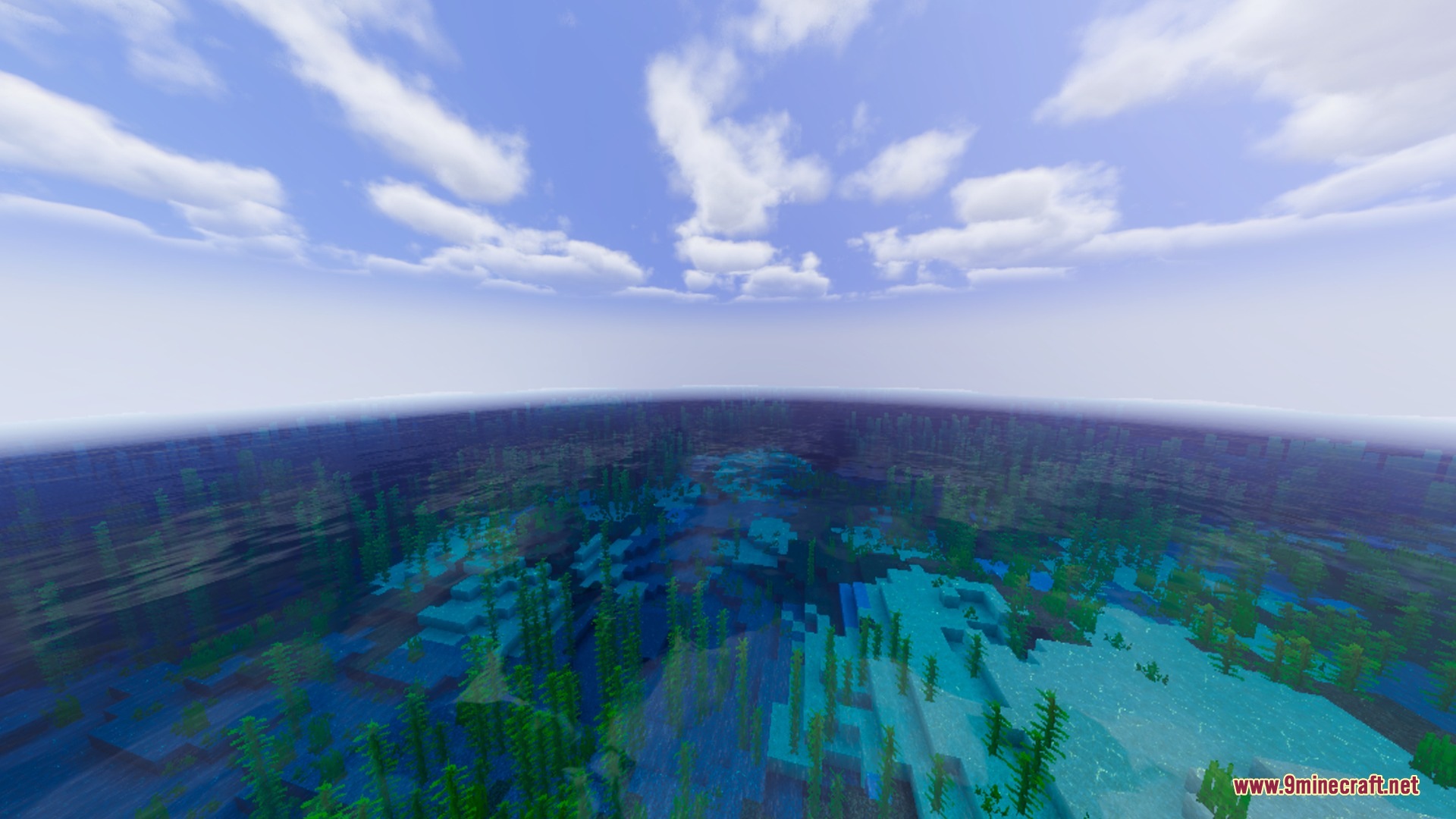 Clear blue ocean water showing lush green kelp forests under a bright sky