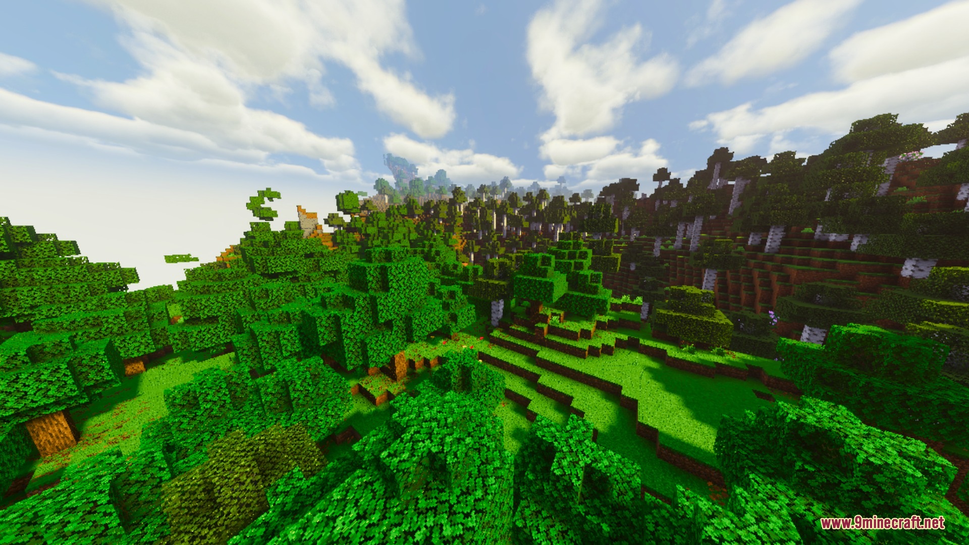 Lush green forest with vibrant lighting and soft clouds in the sky