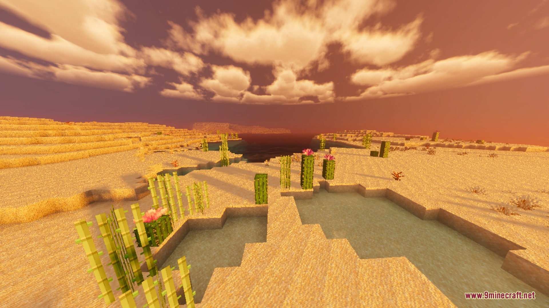 Sandy desert with cacti and sugarcane under a vibrant orange sunset sky