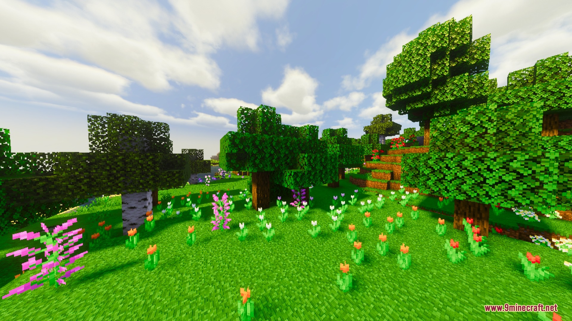 Vibrant lighting enhances the colors of flowers and trees in a sunny meadow