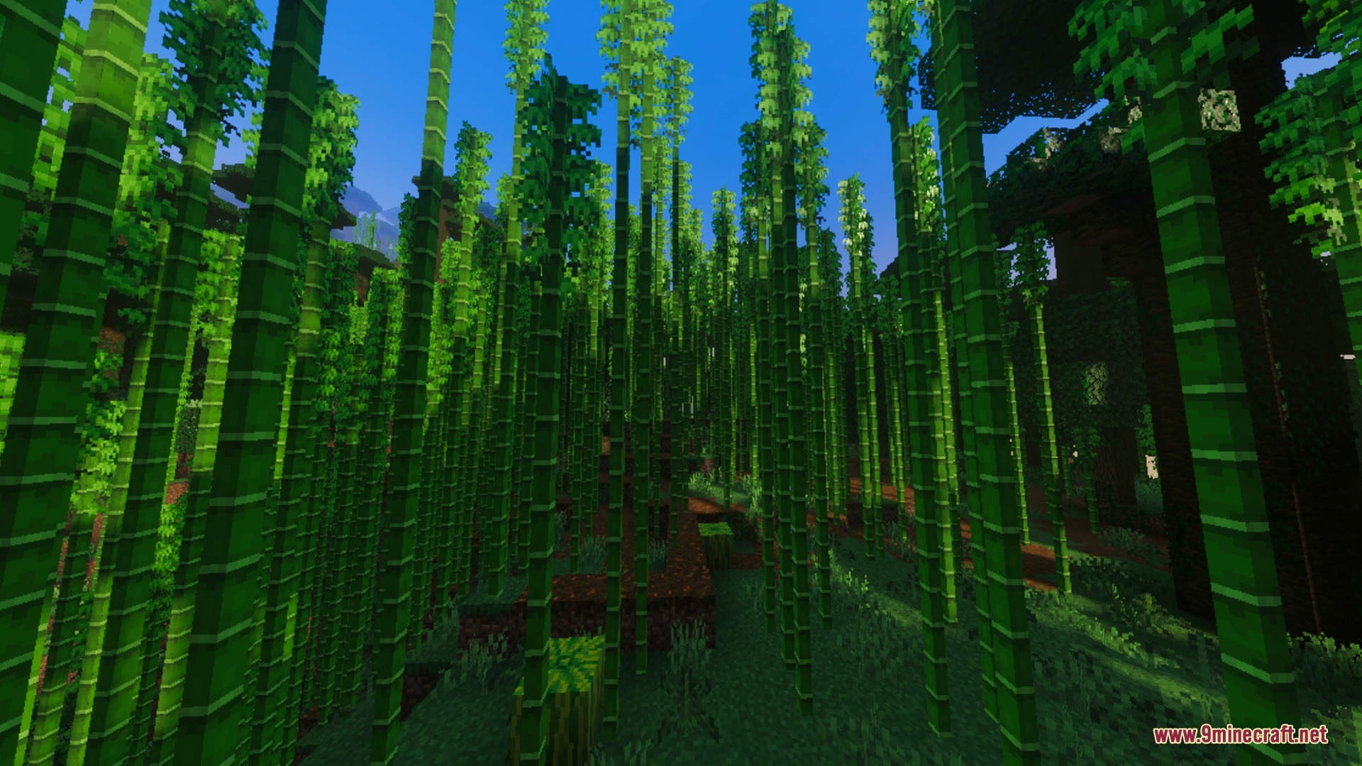 Realism Enhanced Visuals Shader Screenshot 9