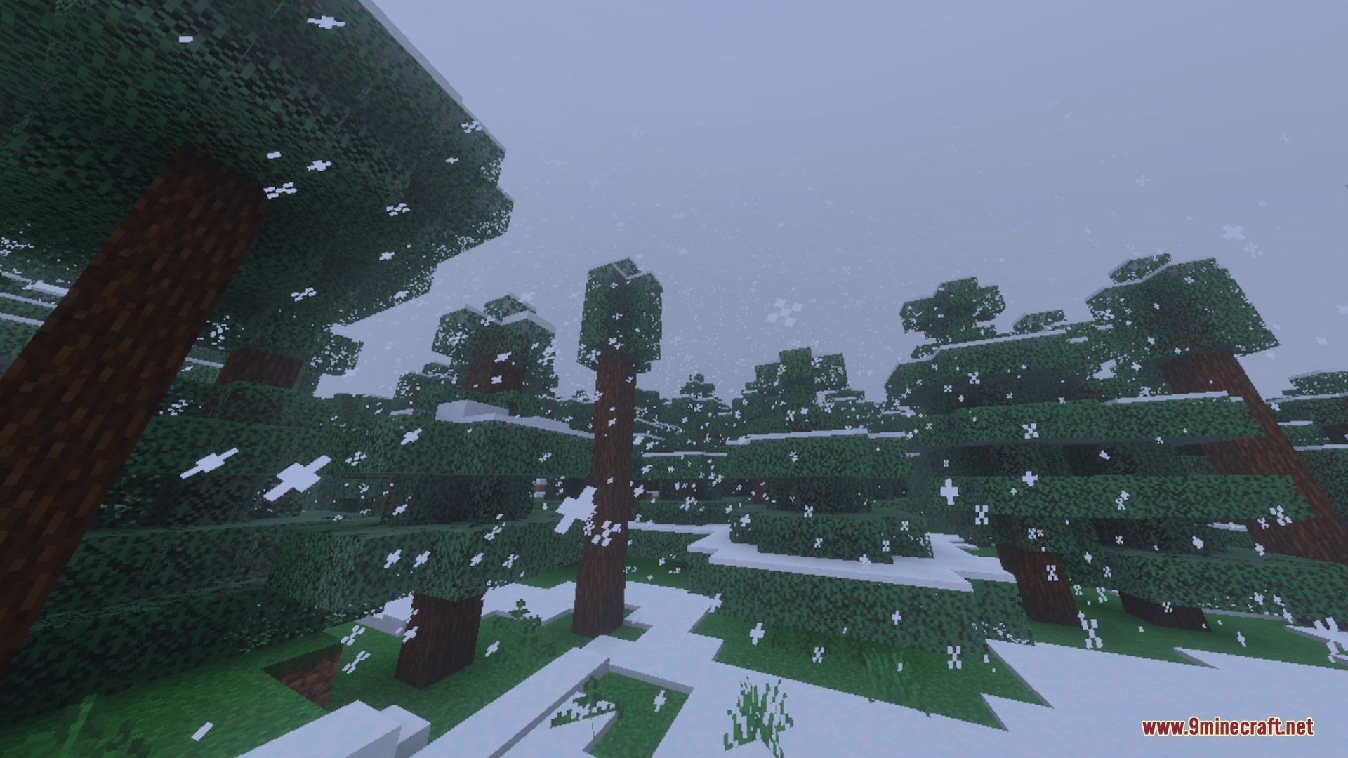 Realistic Debo Shader Screenshot 10 Realistic Debo Shader Screenshot 10
