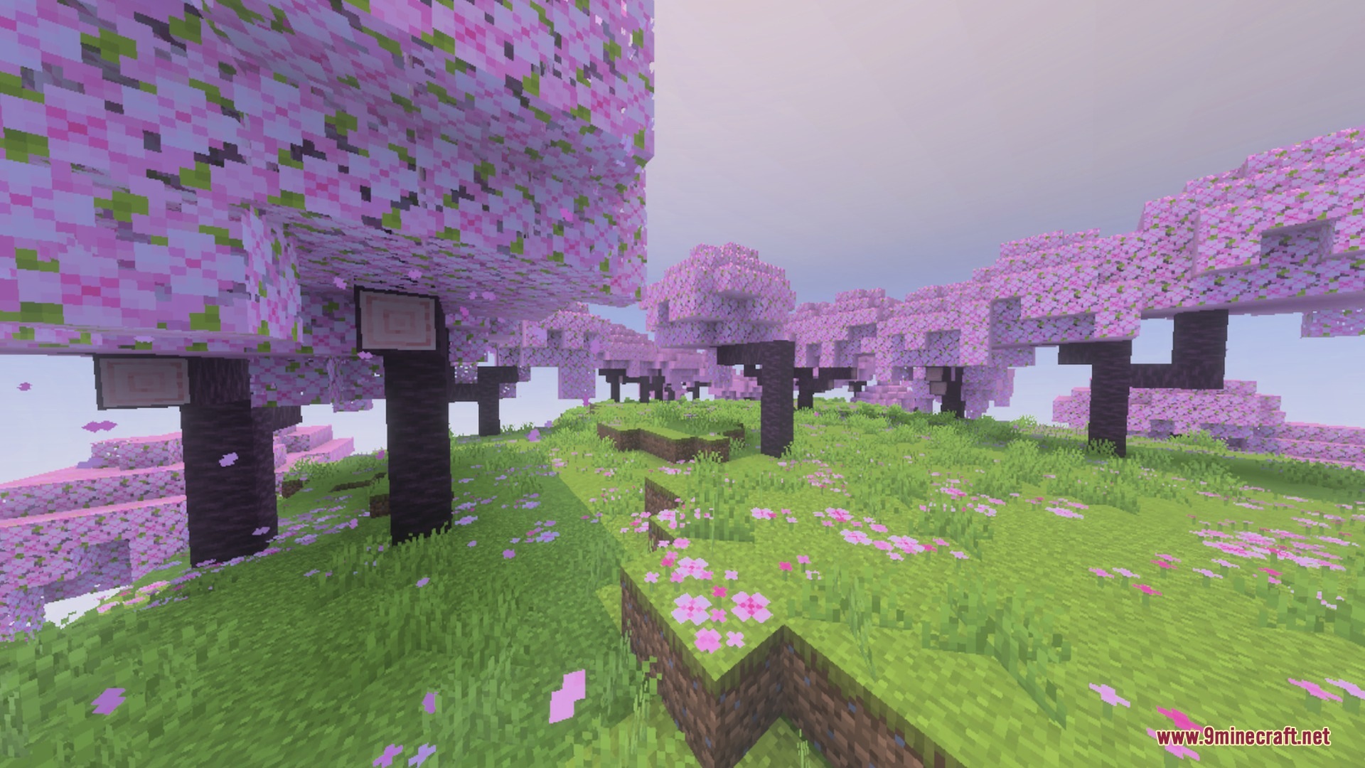 Realistic Debo Shader Screenshot 7 Realistic Debo Shader Screenshot 7