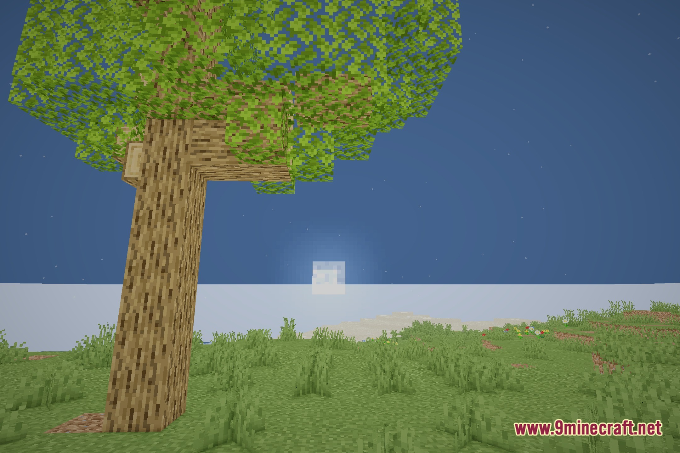 Realistic Vista Shaders Screenshot 4