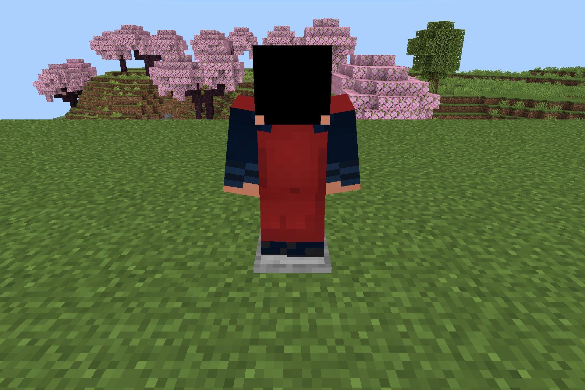Back view of a player wearing a red and blue superhero suit