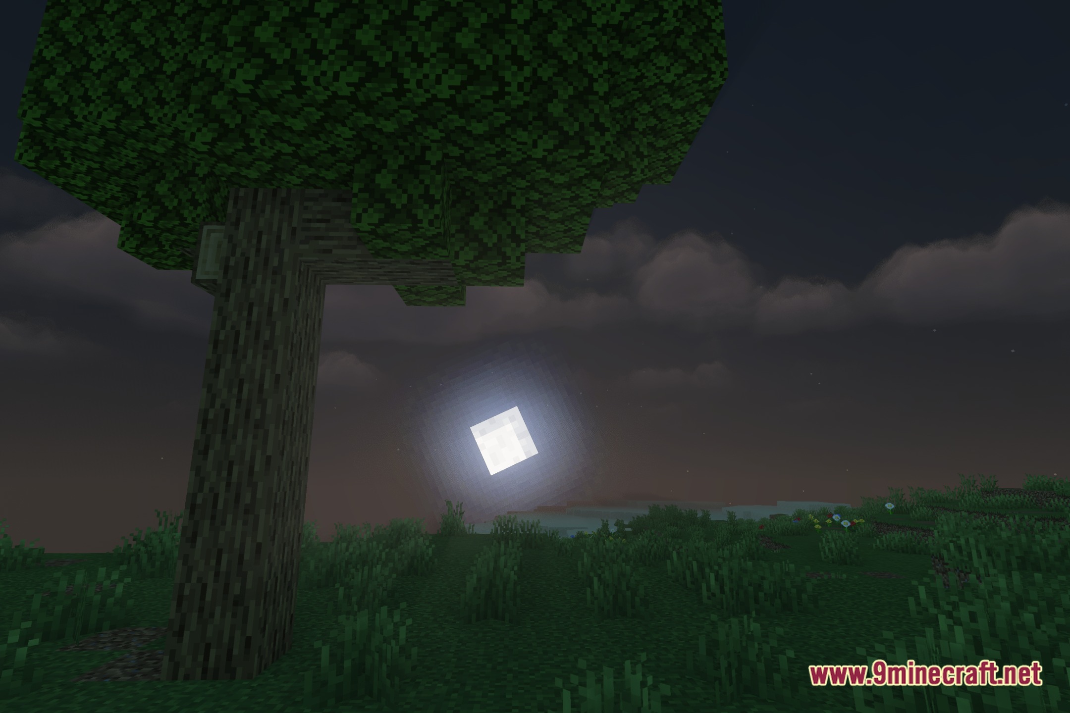 RealyTy Shaders Screenshot 4