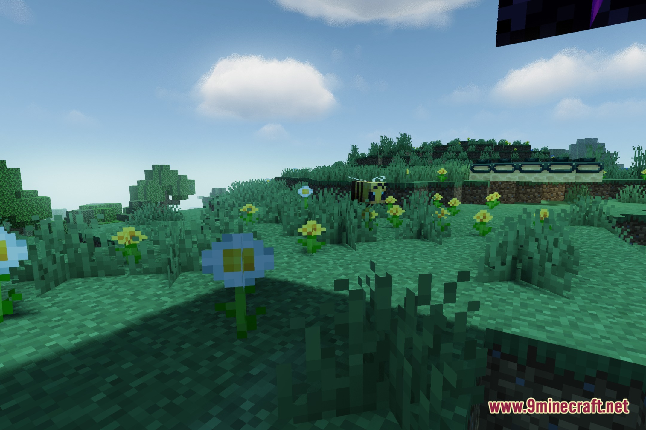 RealyTy Shaders Screenshot 5