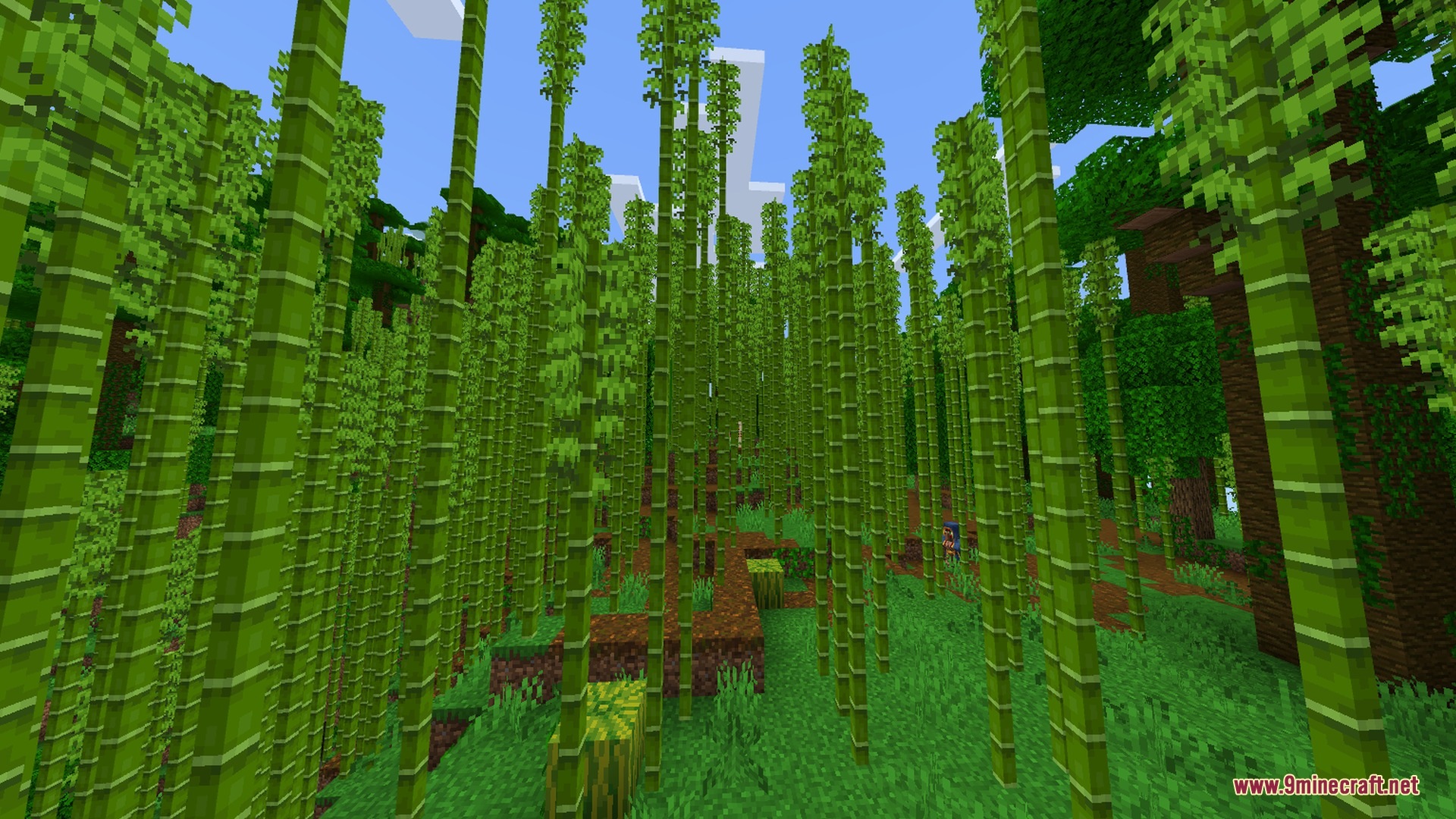 Redstone Plus+ Shader Screenshot 9