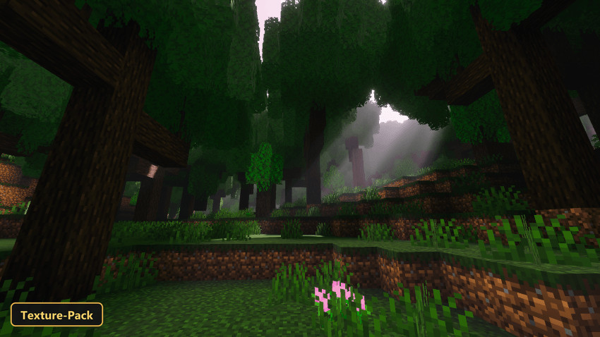 Dense dark oak forest with light fog and sun rays