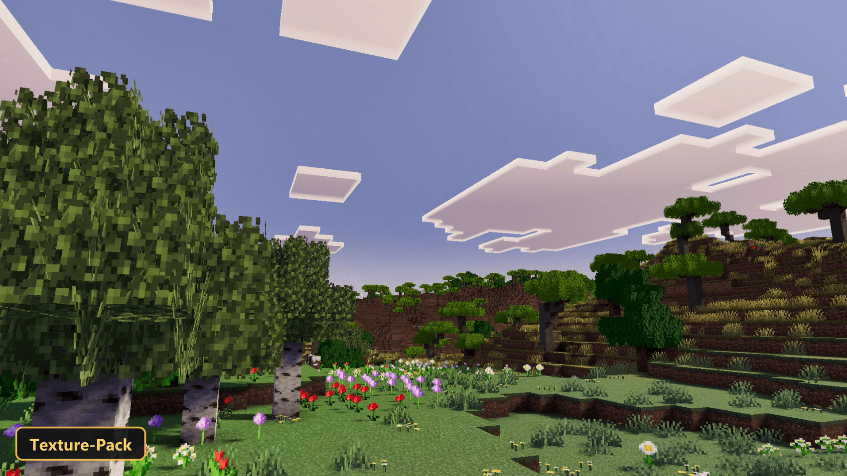 Grassy plains with colorful flowers, birch trees, and distant hills