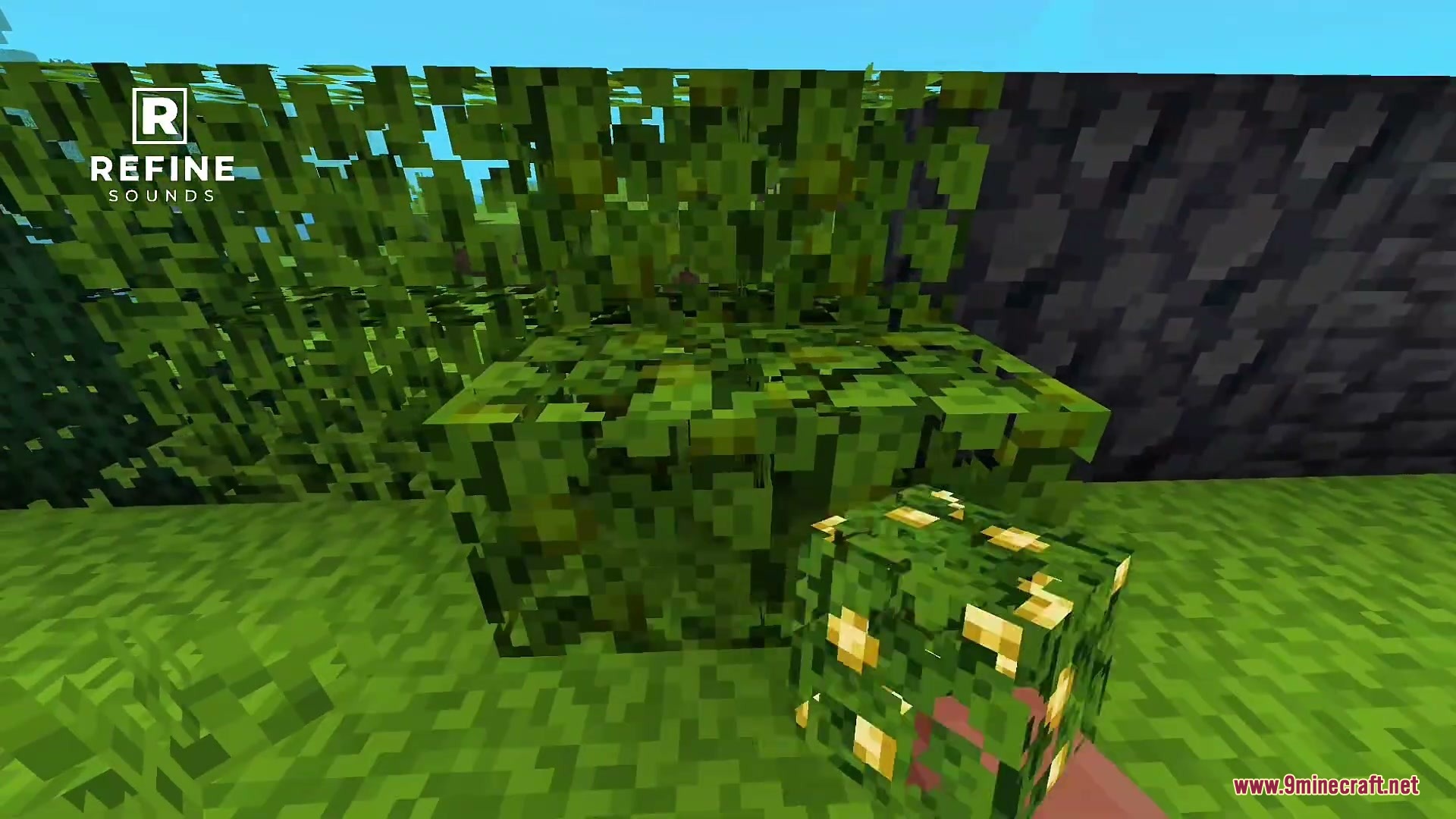 Refine Sounds Addon Screenshot 4