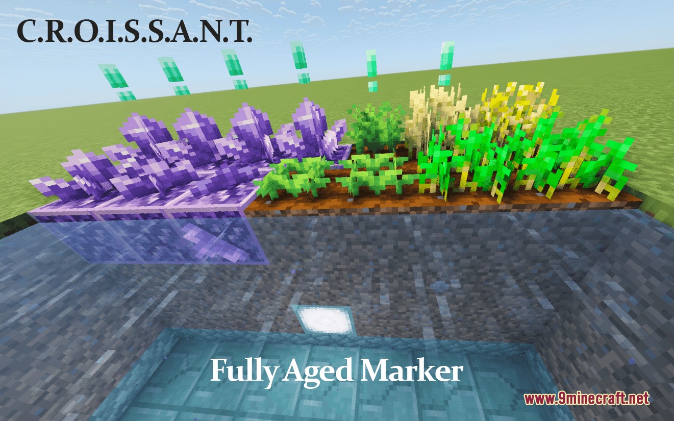 Refined Aesthetic Polish Resource Pack Screenshot 4 Refined Aesthetic Polish Resource Pack Screenshot 4