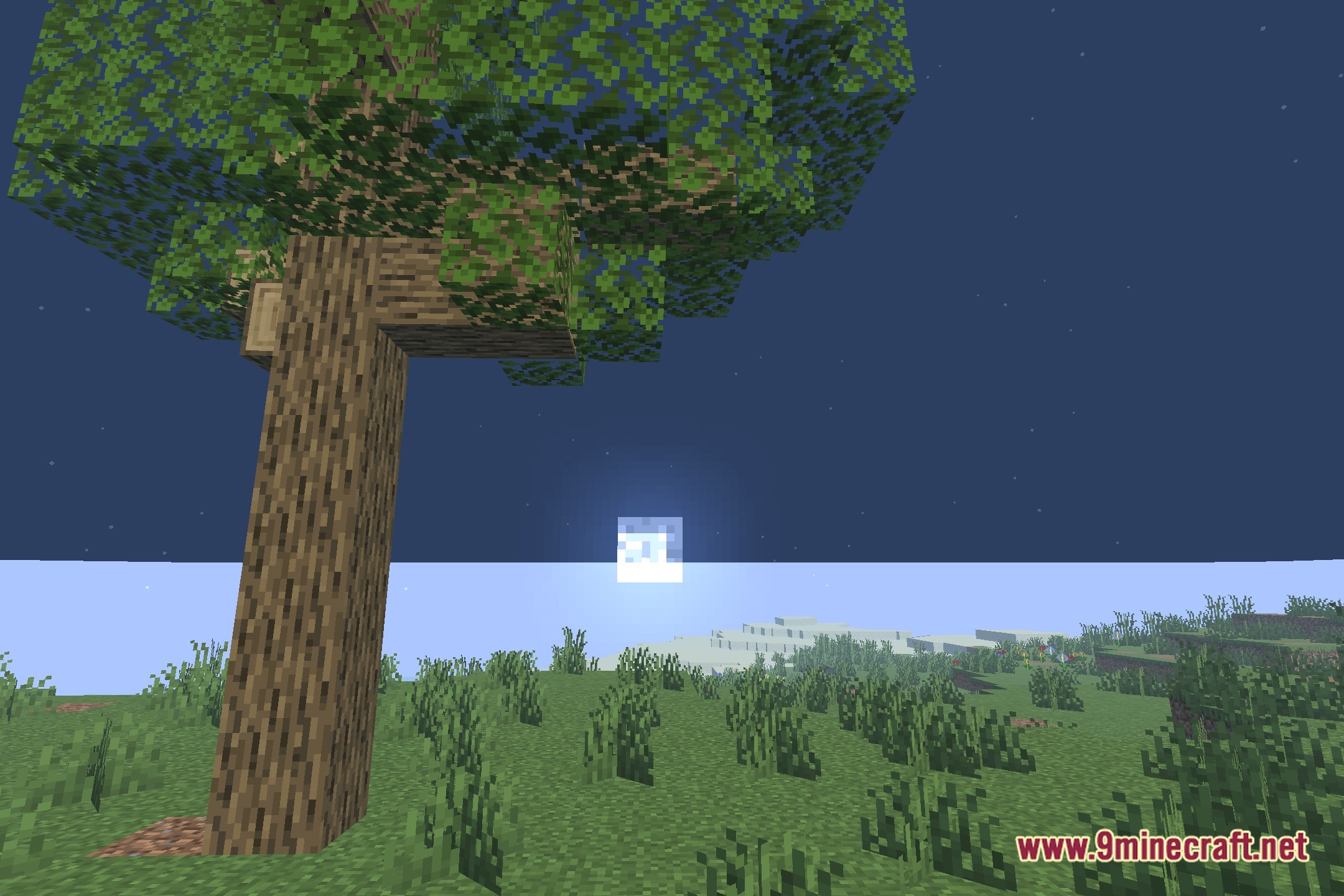 Refined Horizon Shaders Screenshot 4