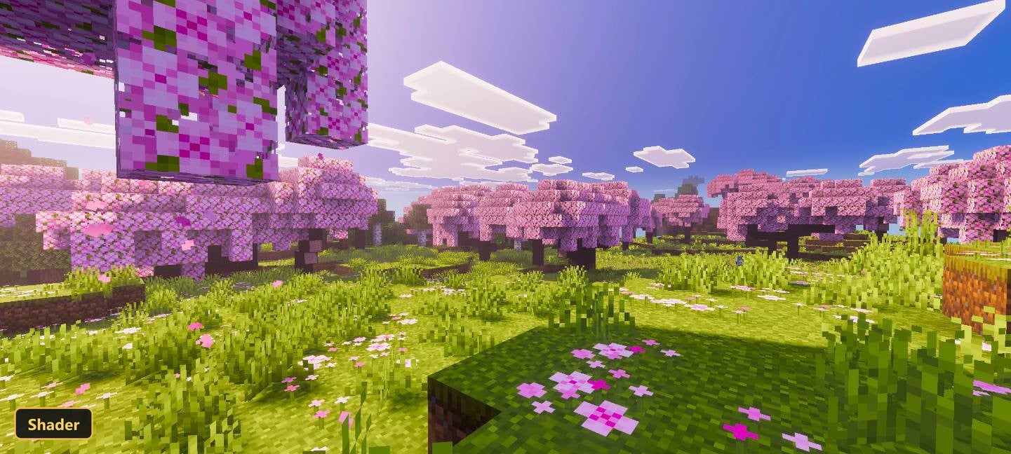 cherry blossom forest, sunny day, pink petals on ground