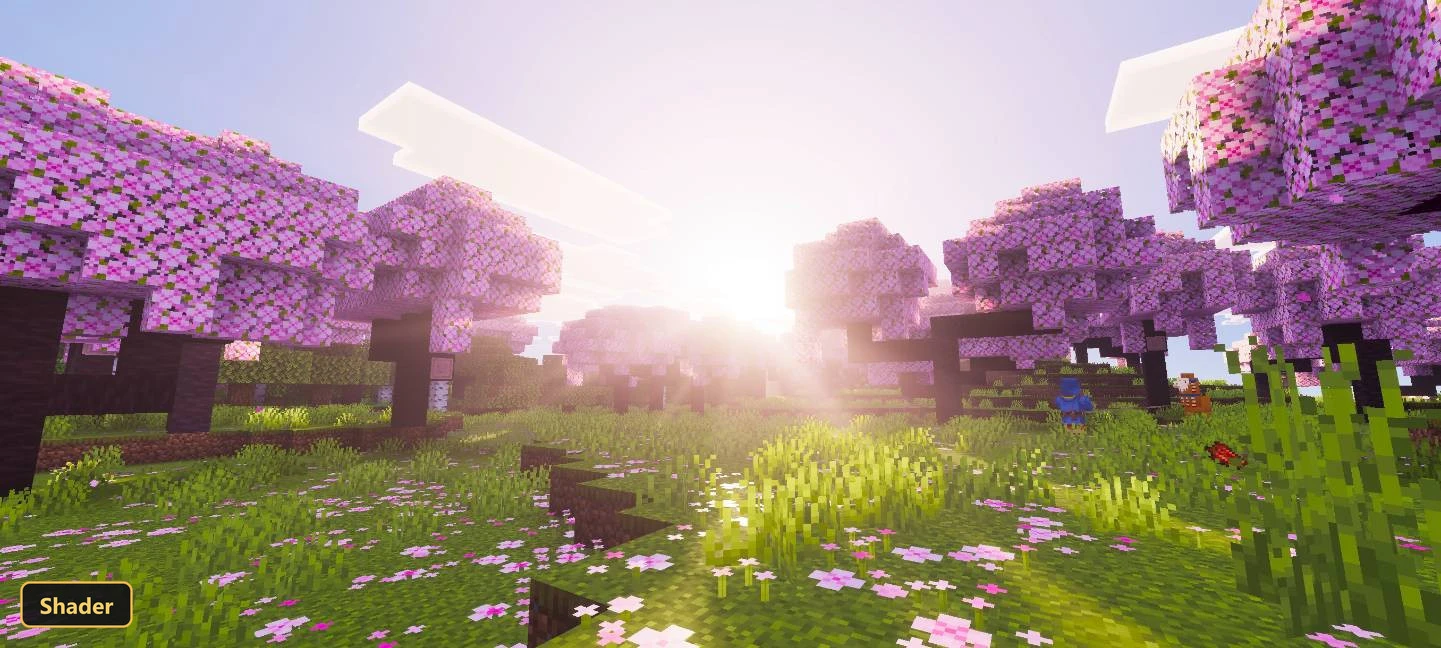 cherry blossom forest, sunrise/sunset, pink petals on ground