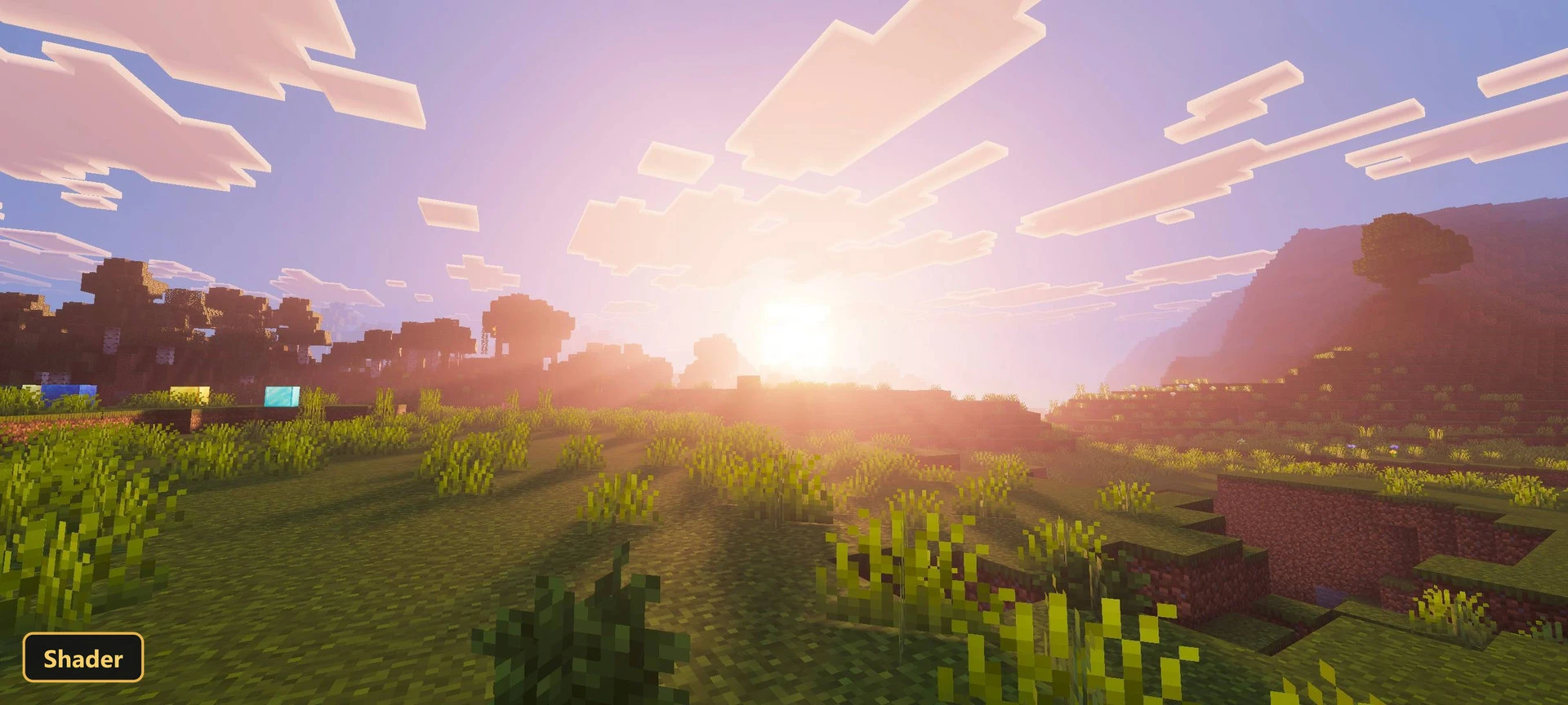 grassy plains, sunrise/sunset, bright sky, distant mountains