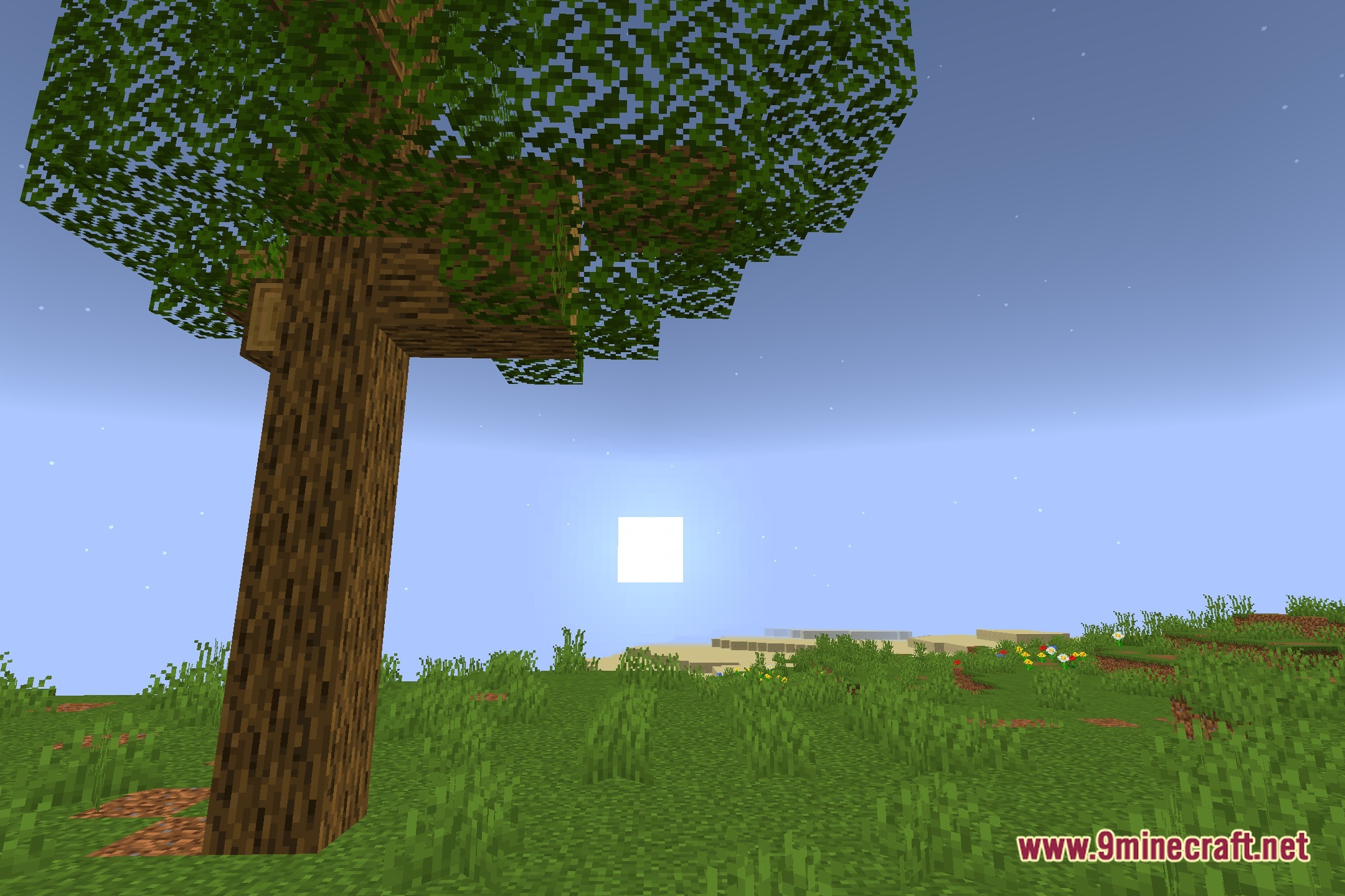 Renderlines Shaders Screenshot 4
