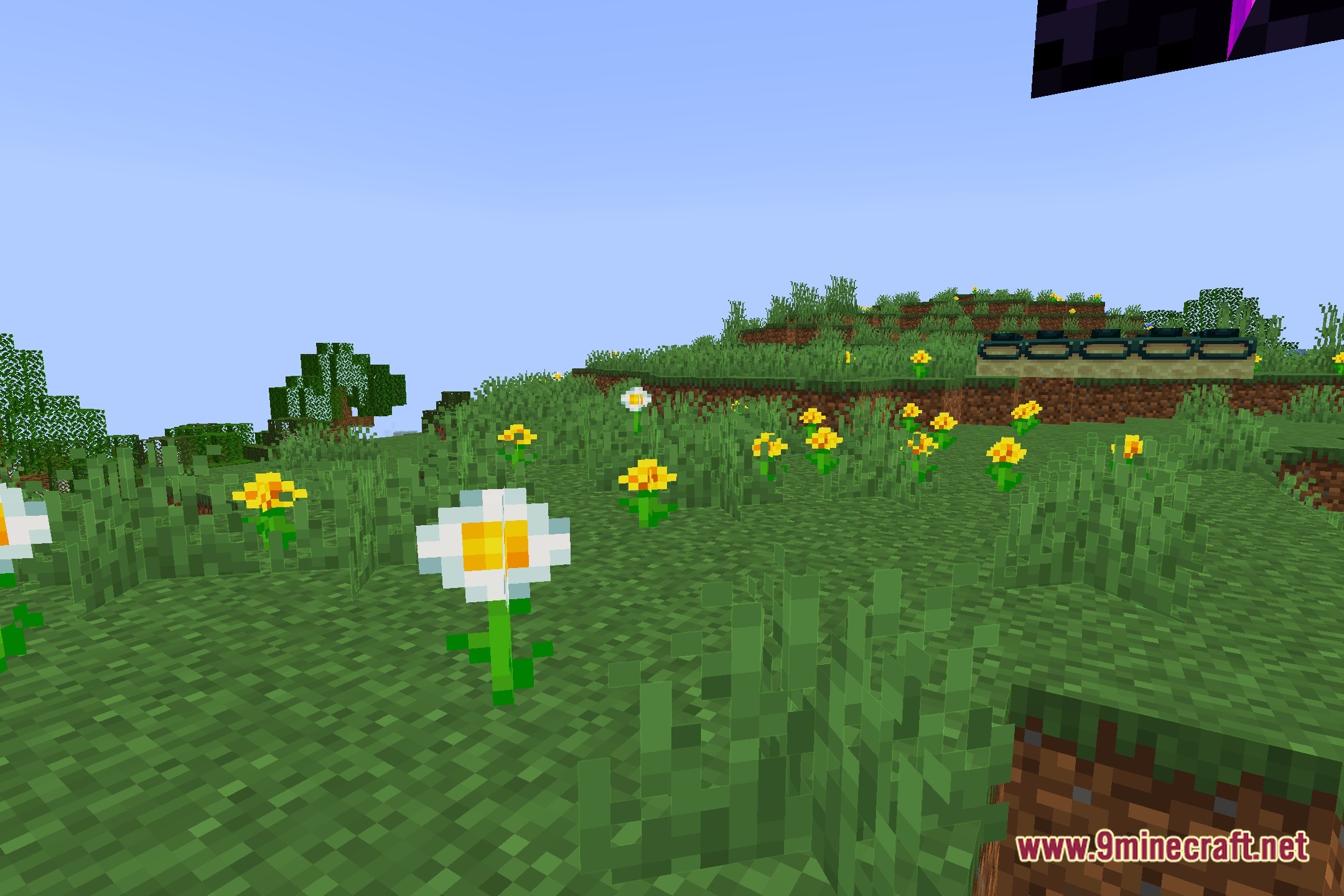 Renderlines Shaders Screenshot 5