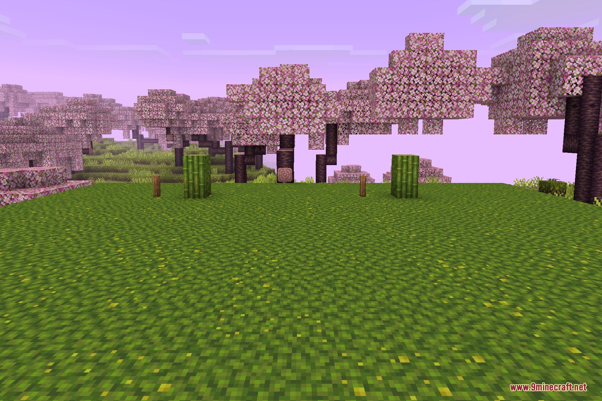 Renewed Enhanced World – New Experimental Texture Pack (26.x) — screenshot 1