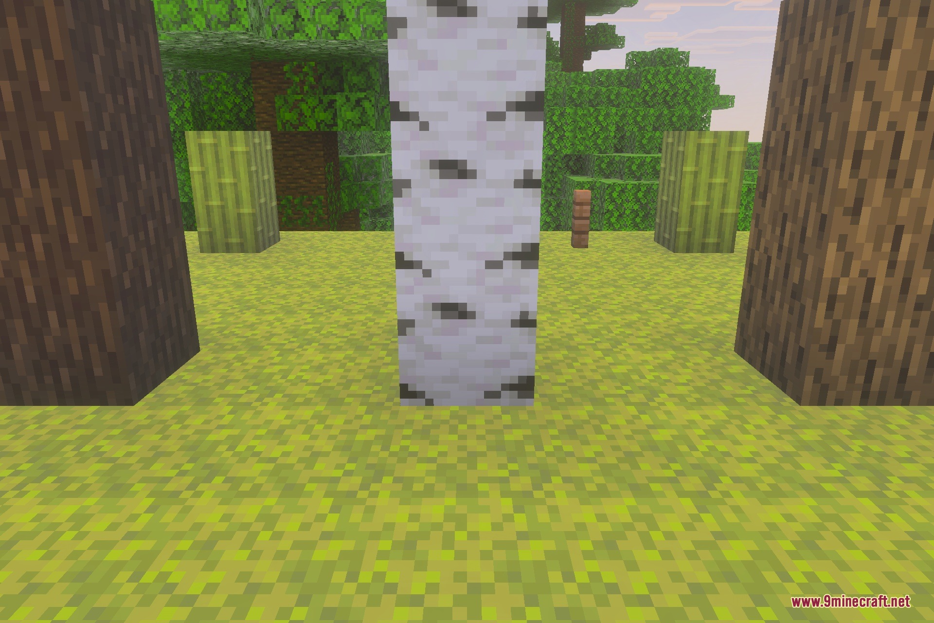 Round Logs Texture Pack Screenshot 1 Round Logs Texture Pack Screenshot 1