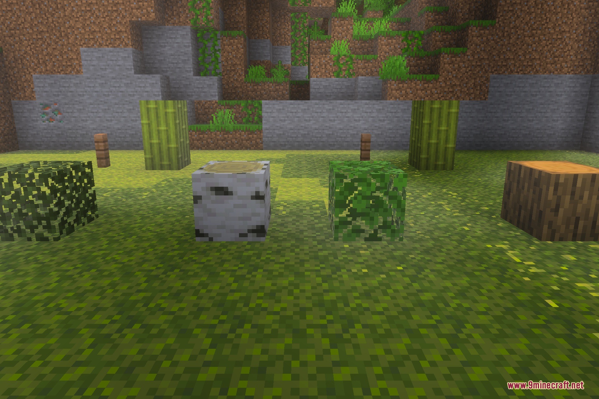 Round Logs Texture Pack Screenshot 4 Round Logs Texture Pack Screenshot 4