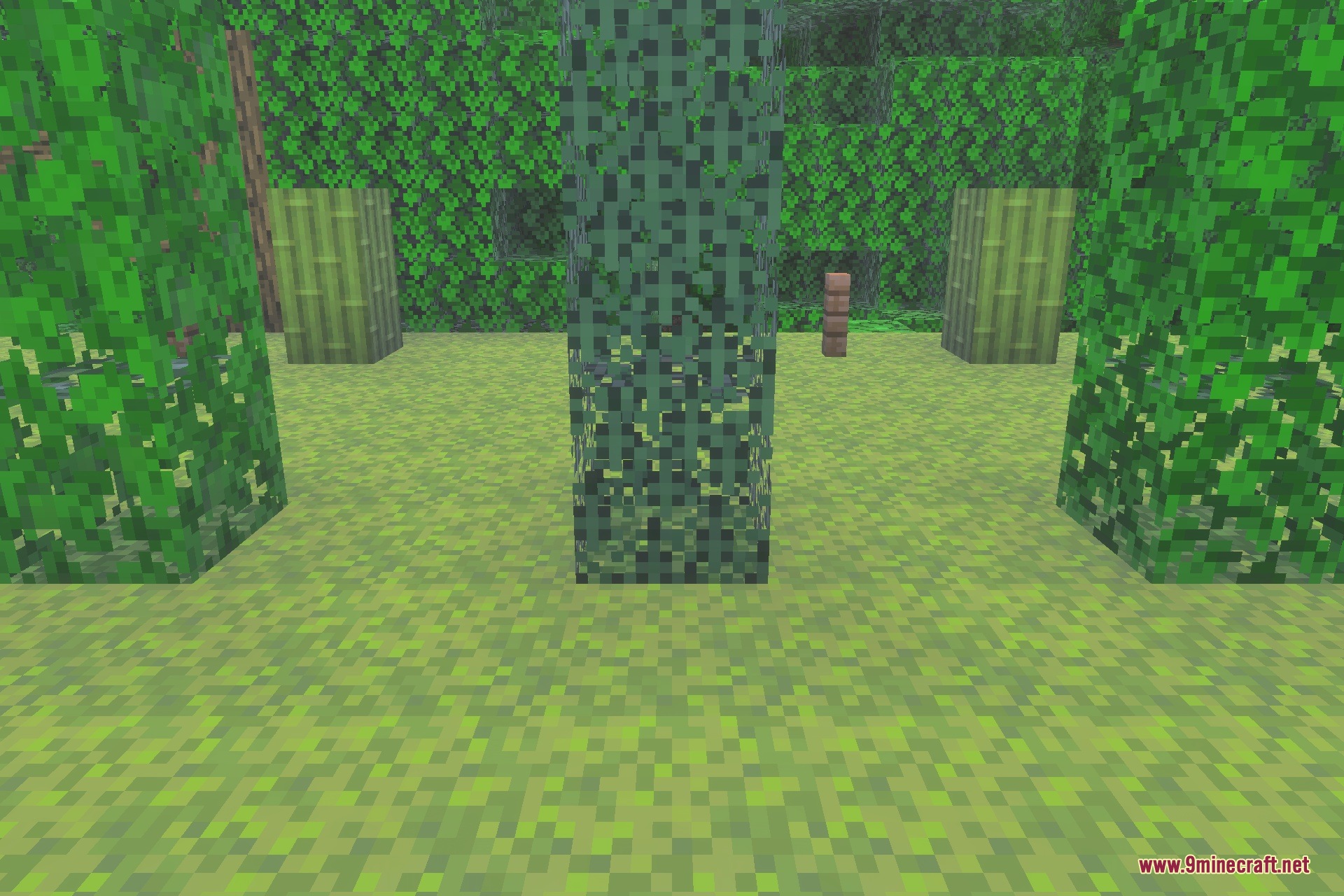 Round Logs Texture Pack Screenshot 5 Round Logs Texture Pack Screenshot 5