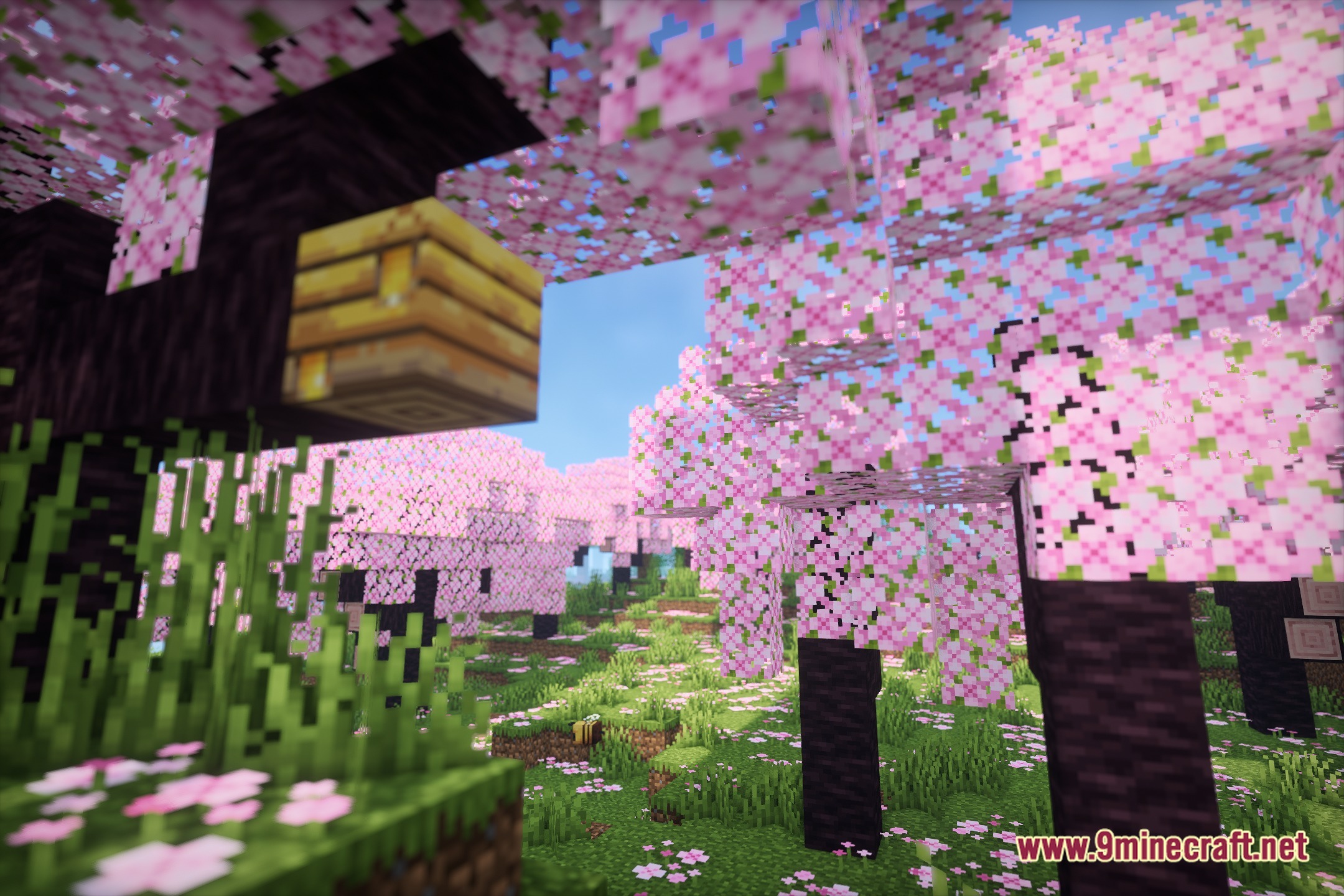 RtfShader Screenshot 1