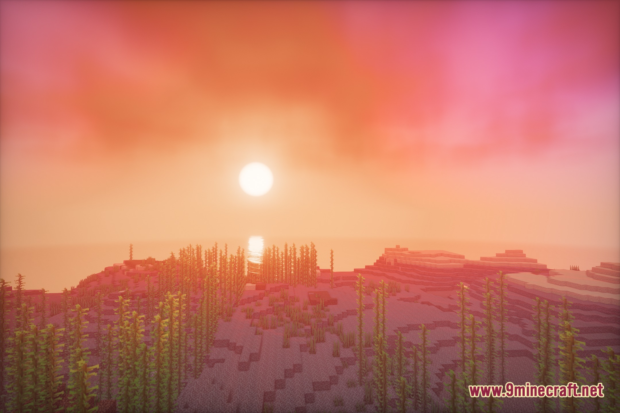 RtfShader Screenshot 2