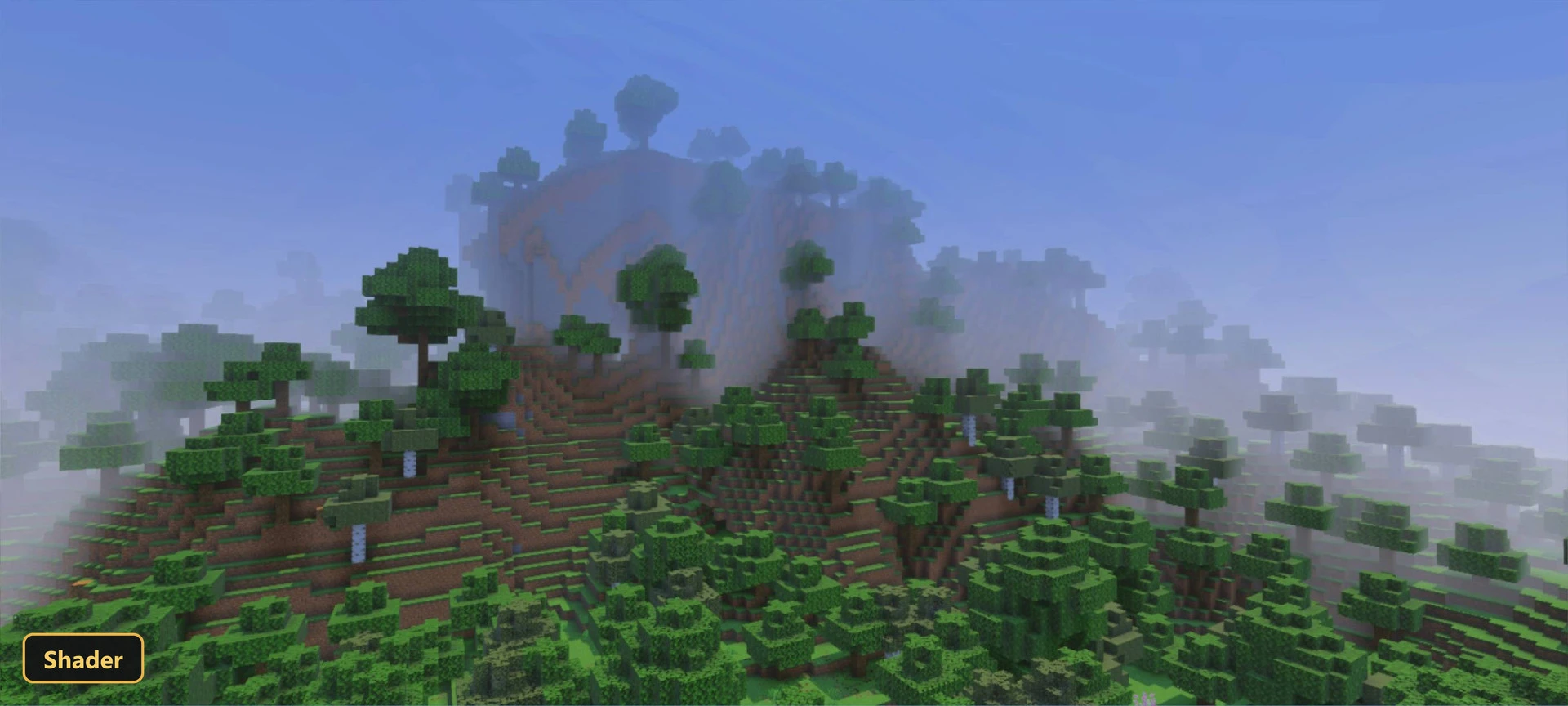 foggy mountain forest with lush green trees and misty atmosphere