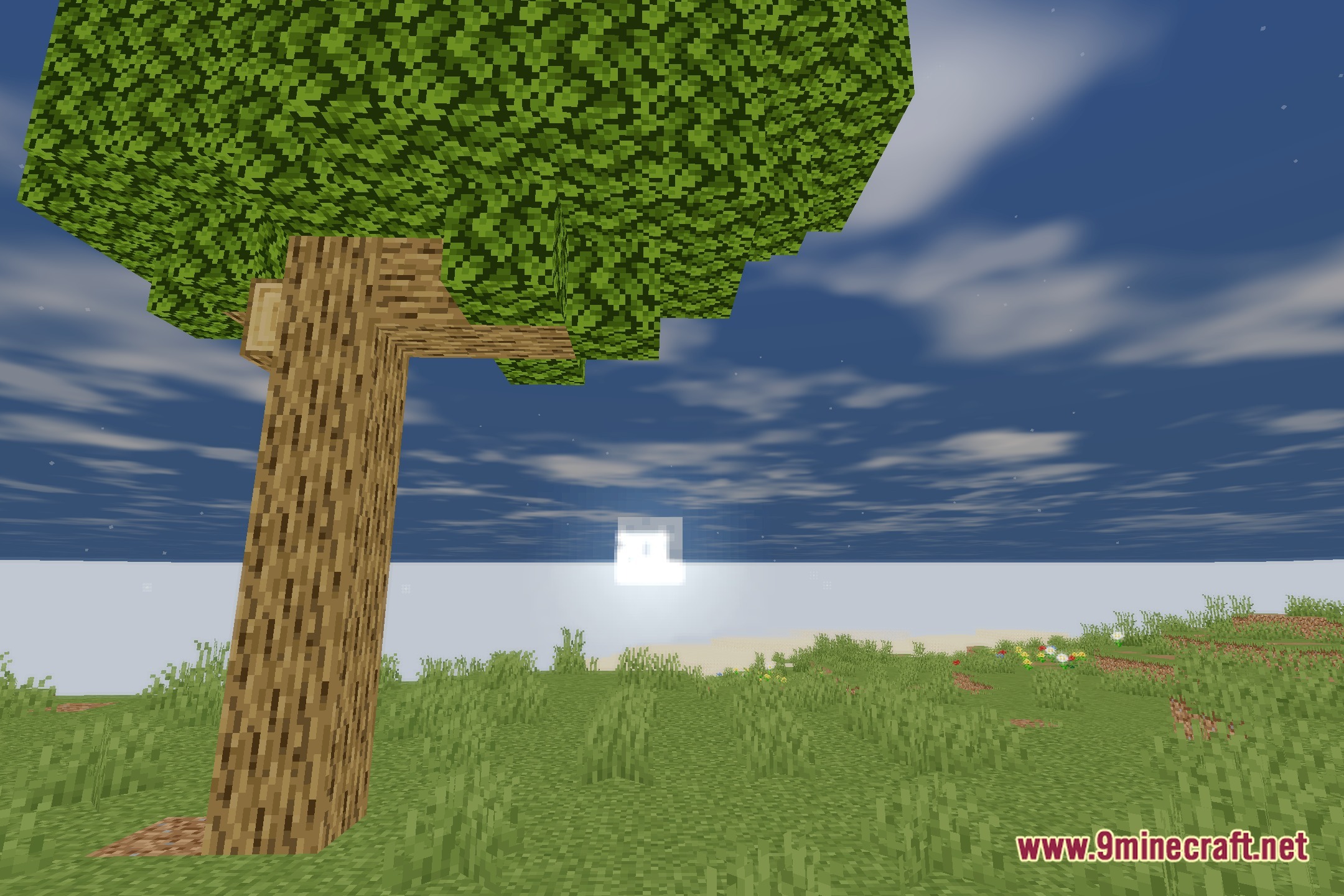 SMM Super Light Weight Shaders Screenshot 4