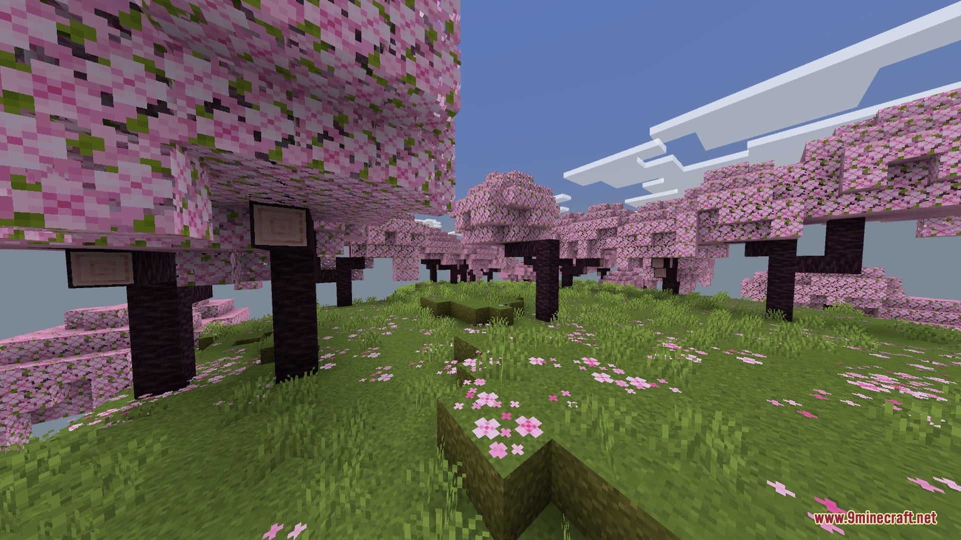 SMOOTH FPS PLUS Shader Screenshot 1 A vibrant cherry blossom biome featuring pink trees and clear blue skies