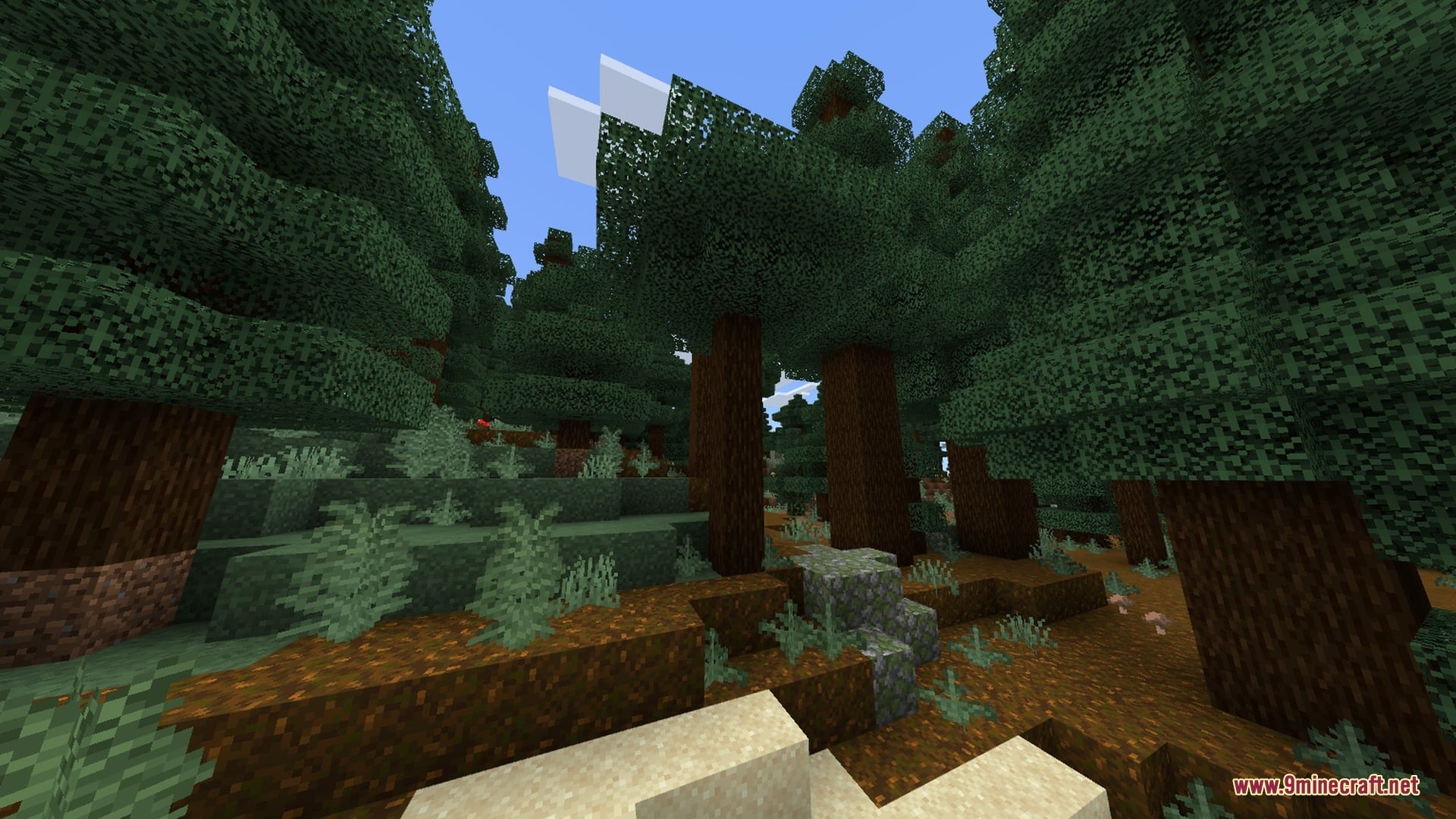 SMOOTH FPS PLUS Shader Screenshot 3 Spruce forest biome with tall trees and clear visibility under a blue sky