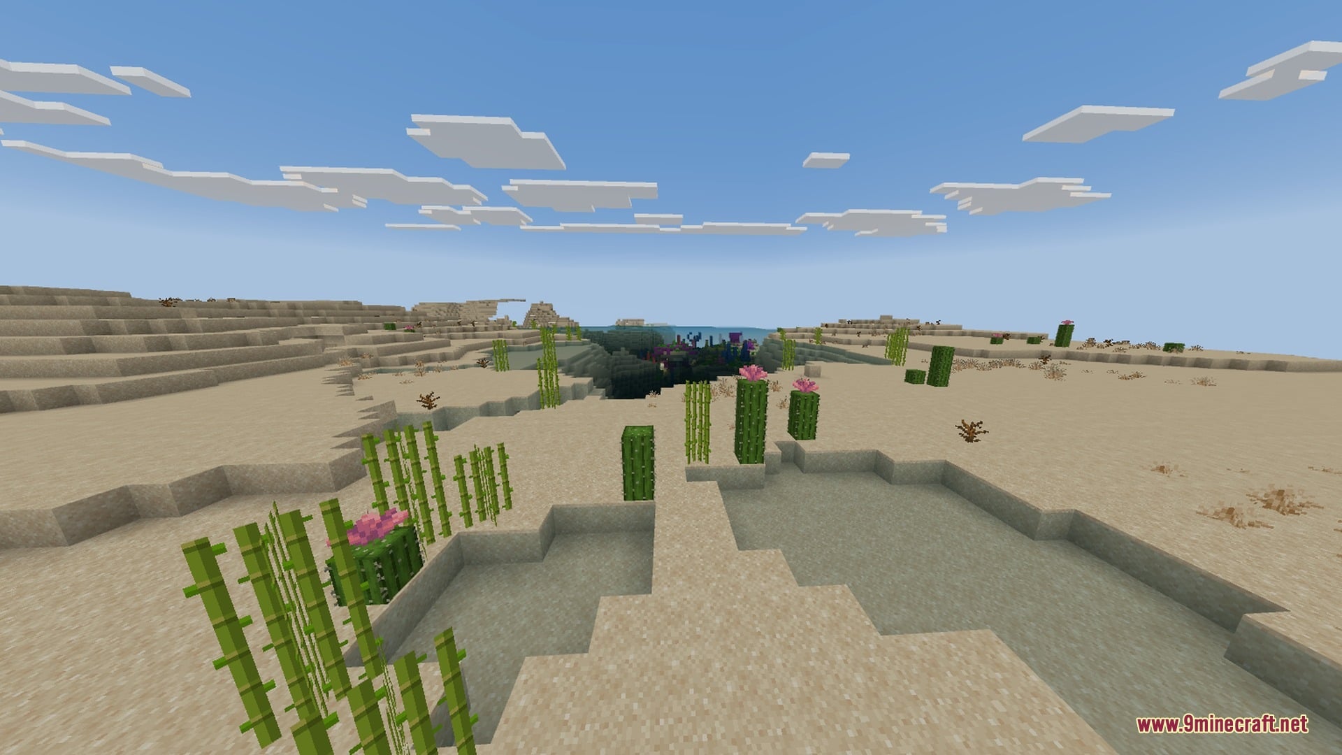 SMOOTH FPS PLUS Shader Screenshot 4 Desert biome with cacti and sugar cane showing clear water without any fog