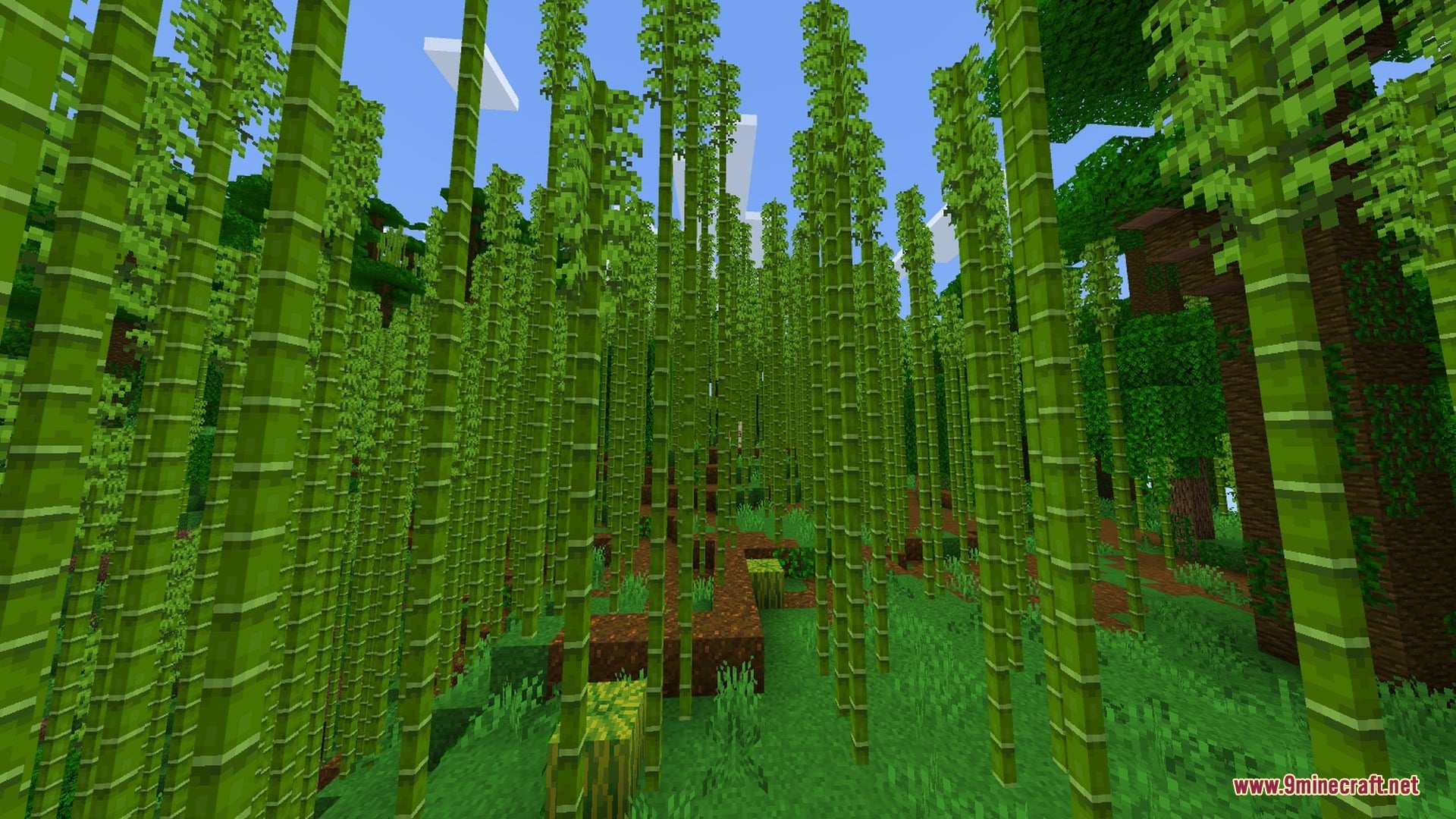 SMOOTH FPS PLUS Shader Screenshot 5 Dense bamboo forest with clear visibility and no fog in the distance