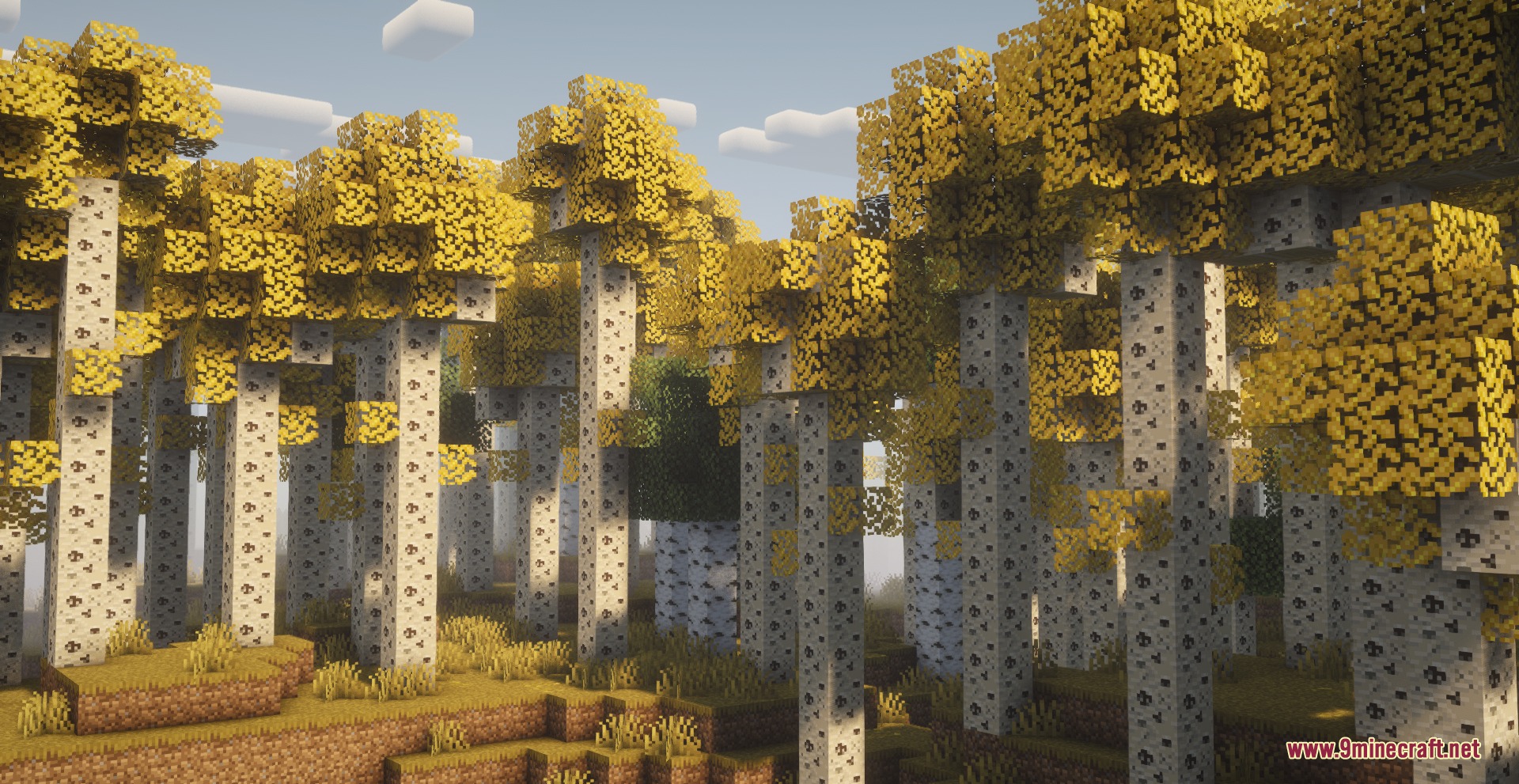 Saffron Timber Heights Mod Screenshot 3 Tall trees with golden leaves in a dense aspen forest biome