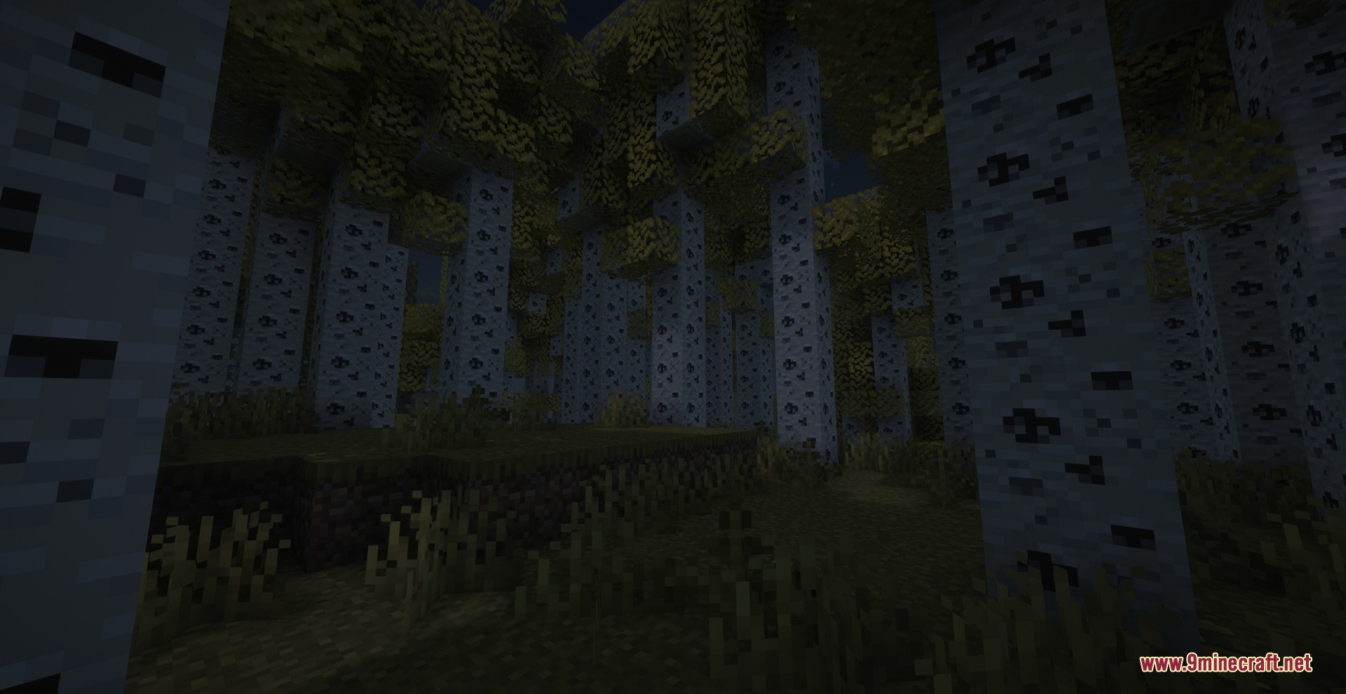 Saffron Timber Heights Mod Screenshot 5 Tall white aspen trees with golden leaves in a dark forest at night