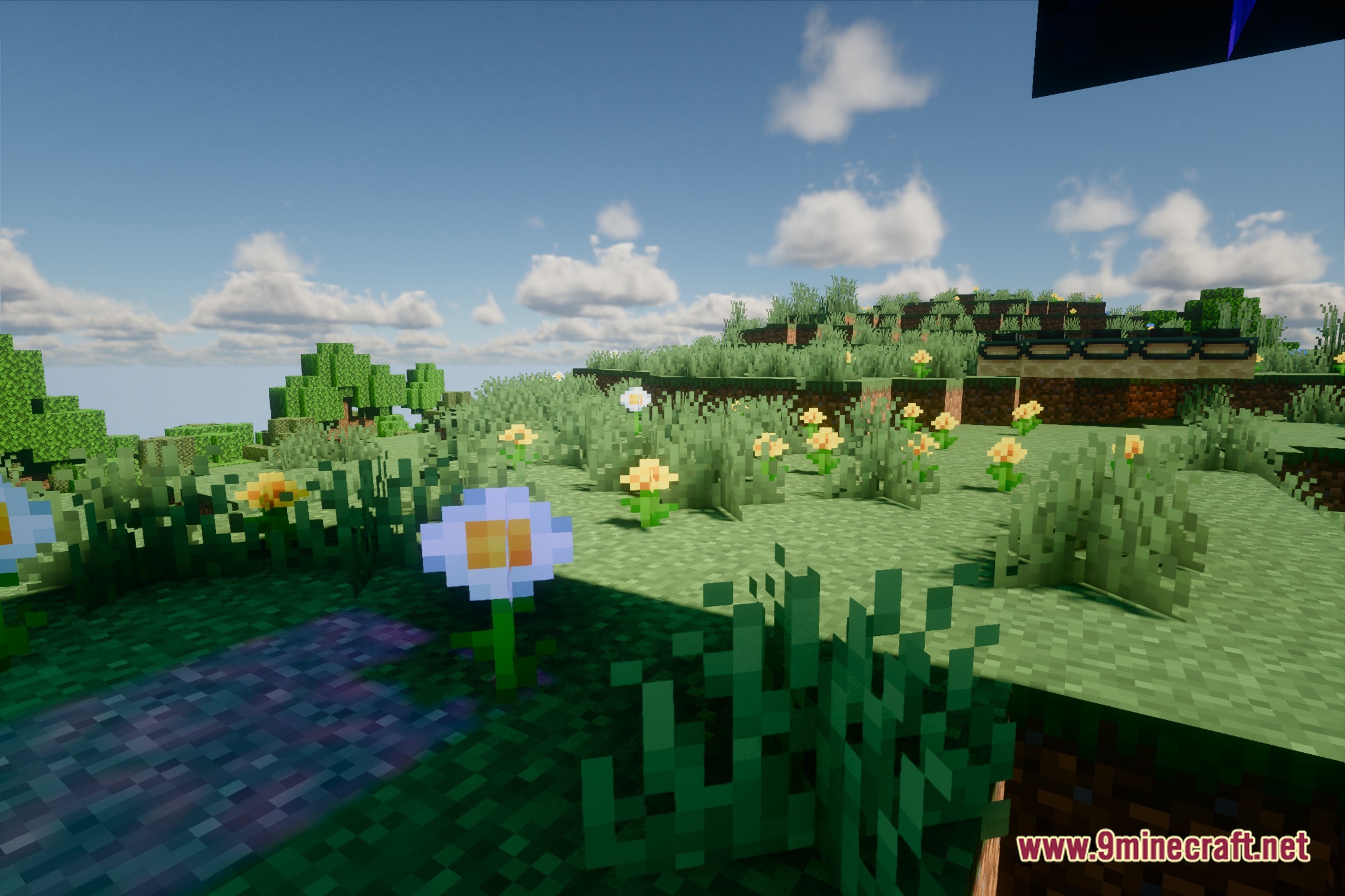 Salicylic Shaders Screenshot 4