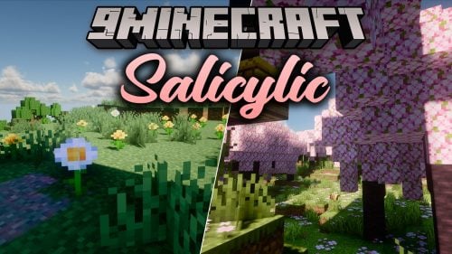 Salicylic Shaders