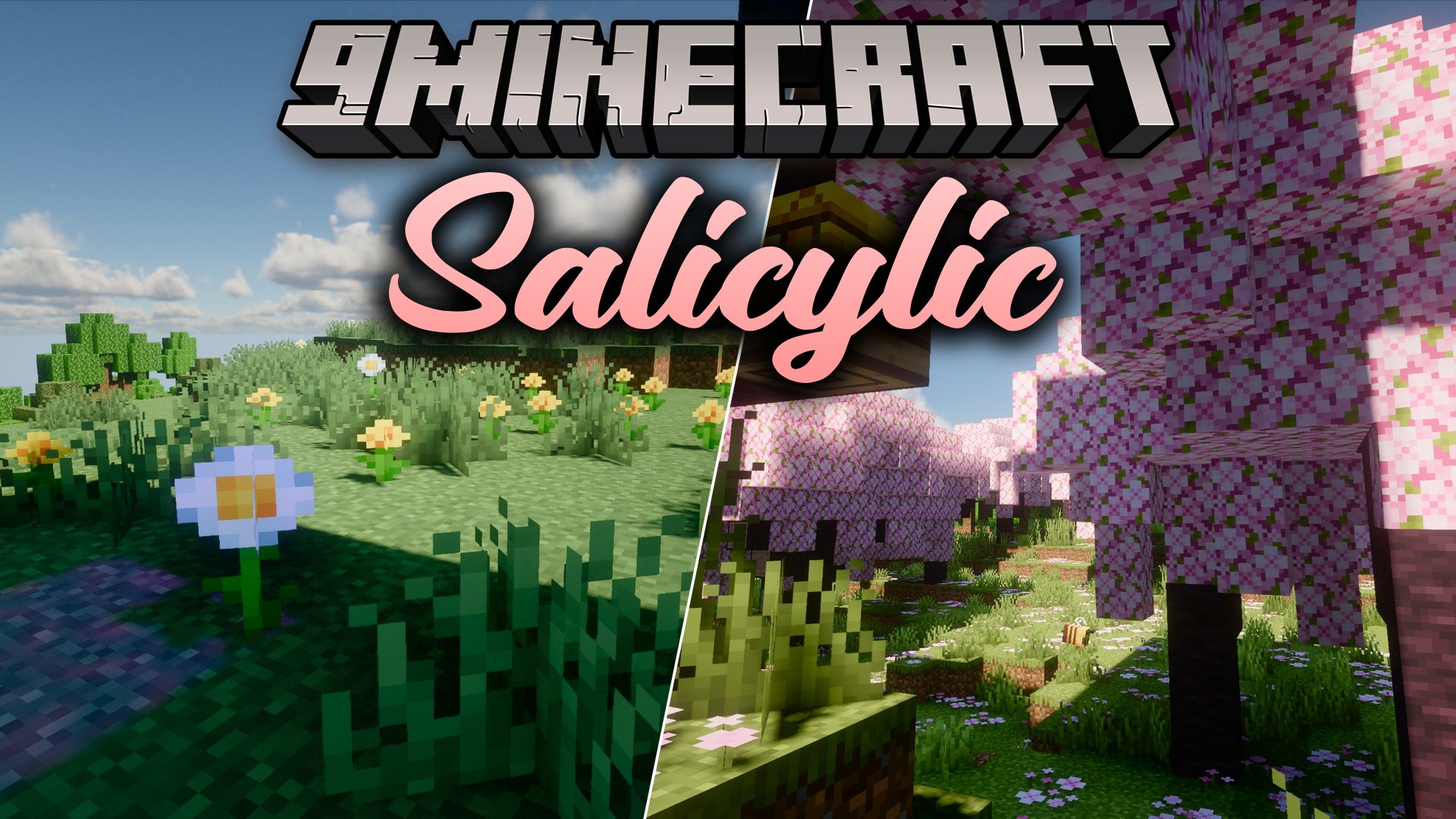 Salicylic Shaders