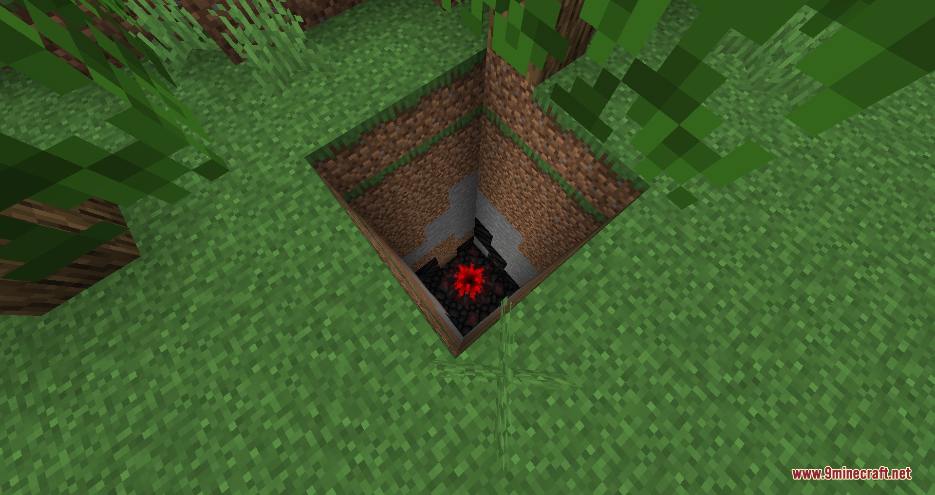 A deep square hole in the ground reveals a red fleshy heart chamber