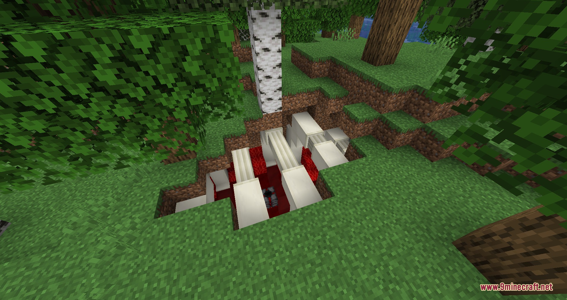 A fleshy heart chamber with white pillars hidden beneath a birch forest
