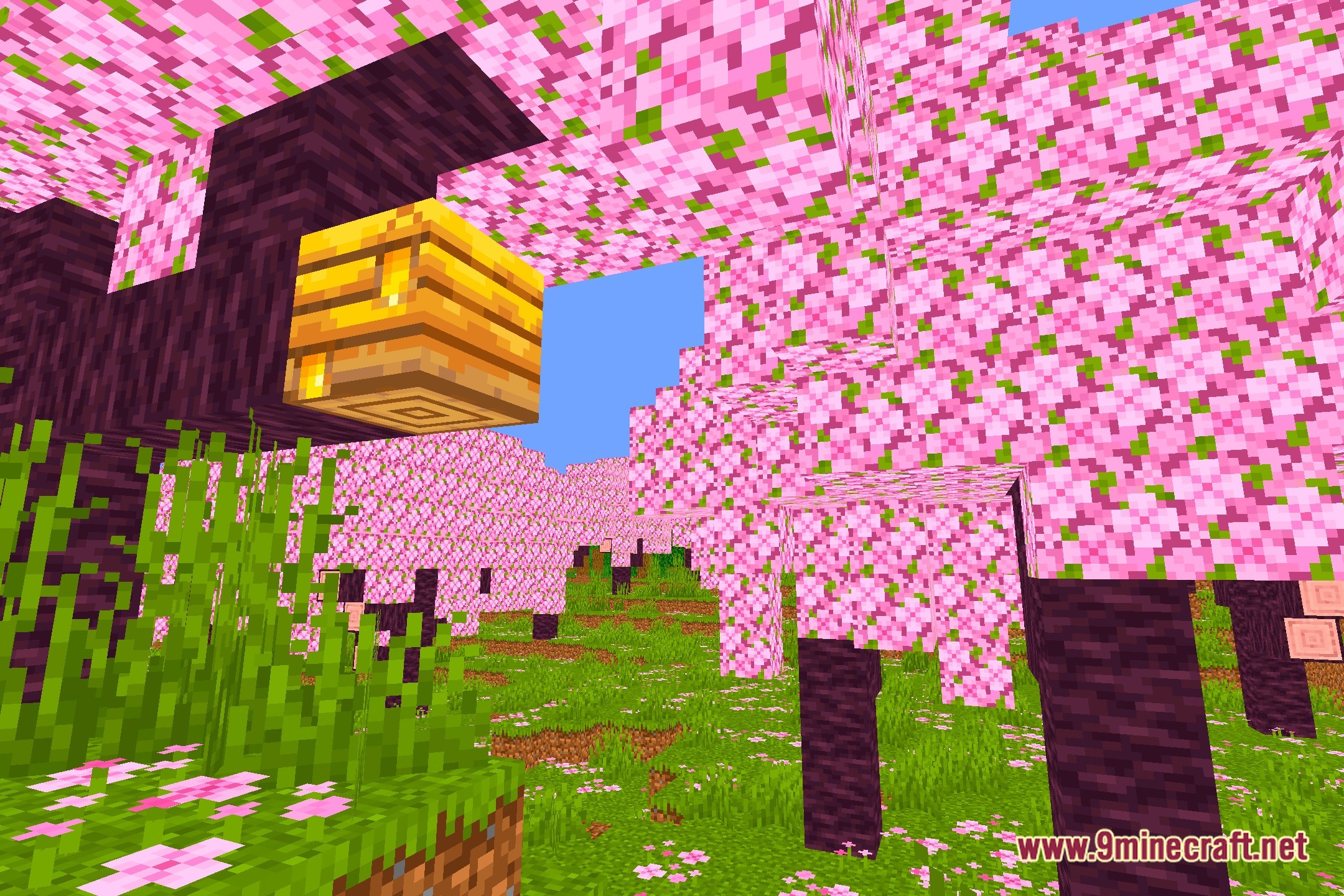 Saturation Test3 Shaders Screenshot 1