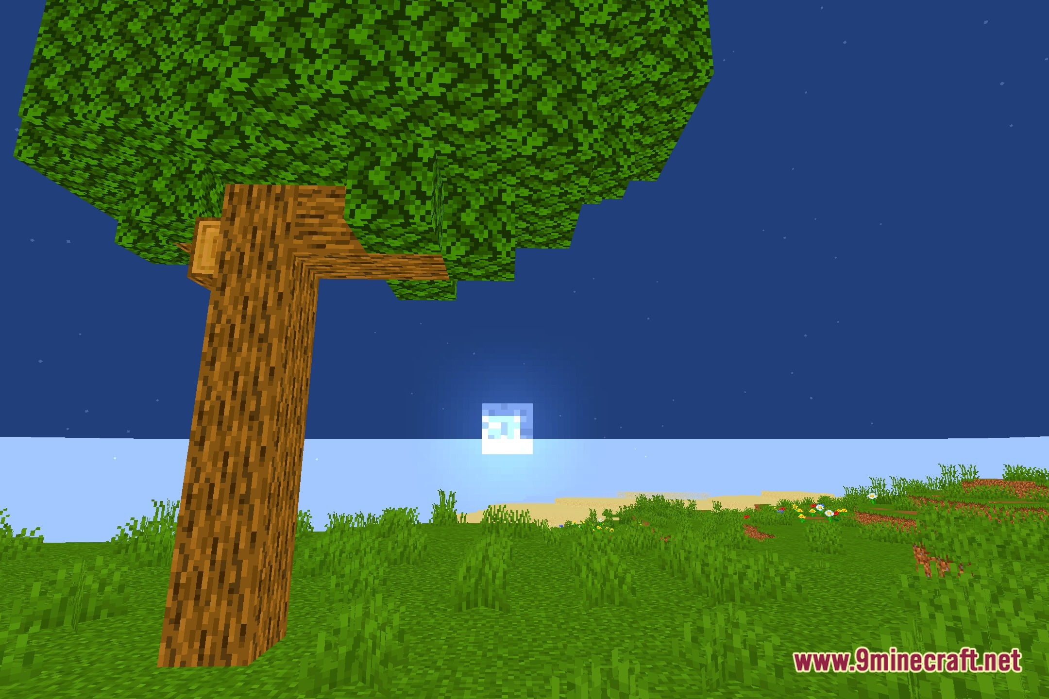 Saturation Test3 Shaders Screenshot 4