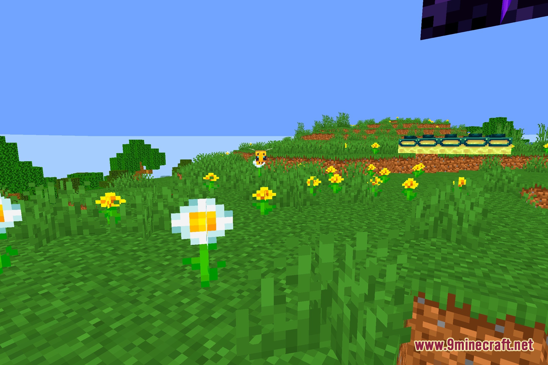 Saturation Test3 Shaders Screenshot 5