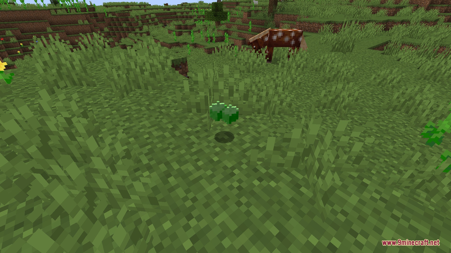 Savage Survival Essentials Mod Screenshot 1