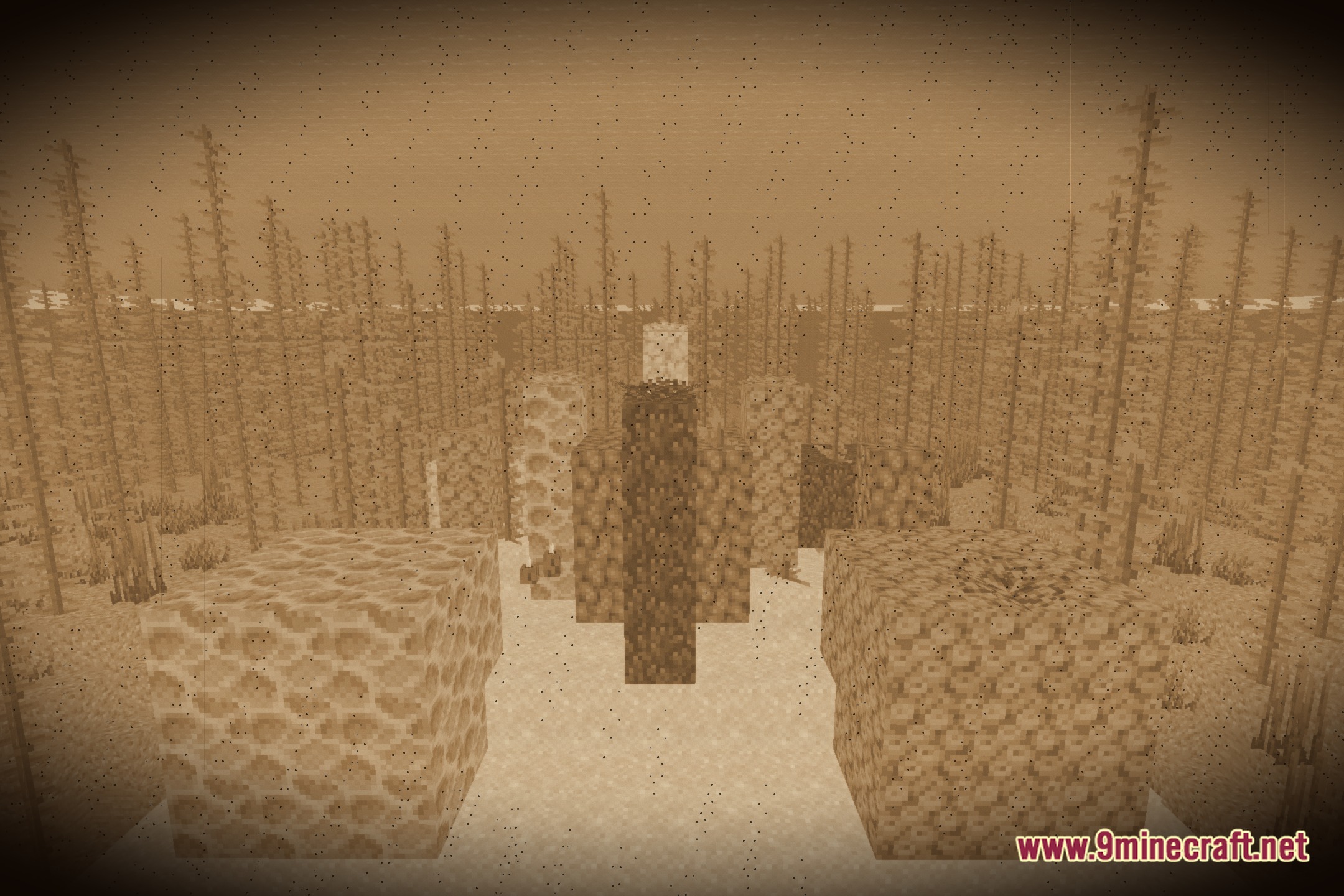 Sepia Realm Shaders Screenshot 10