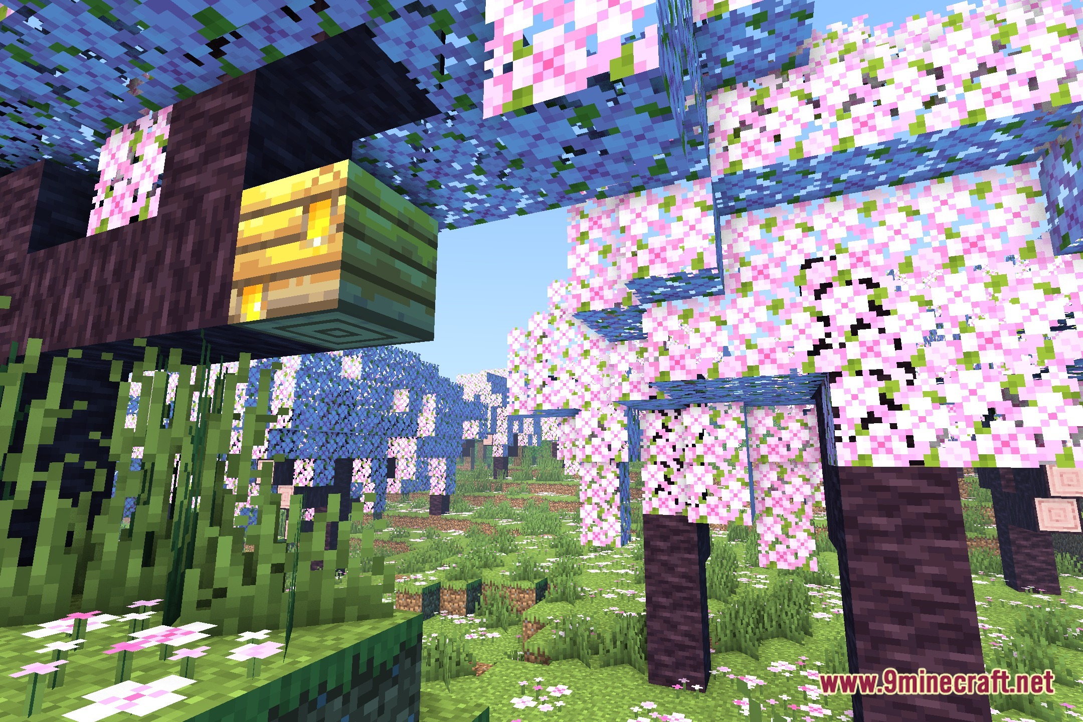 Serene Zen Lighting Shaders Screenshot 1