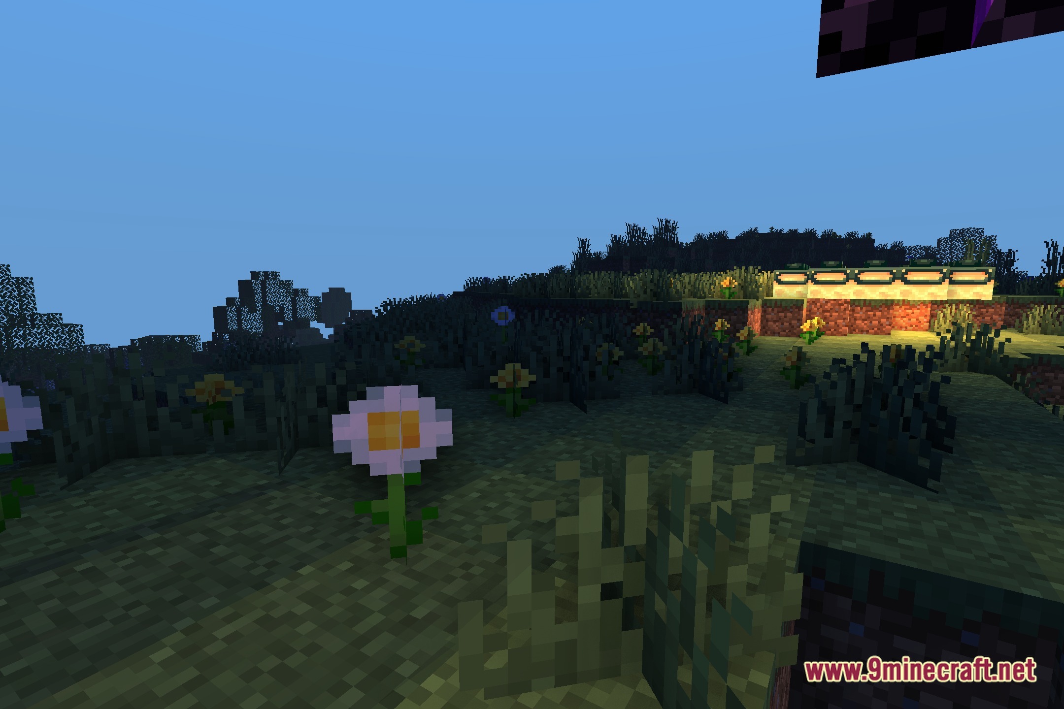 Serene Zen Lighting Shaders Screenshot 4