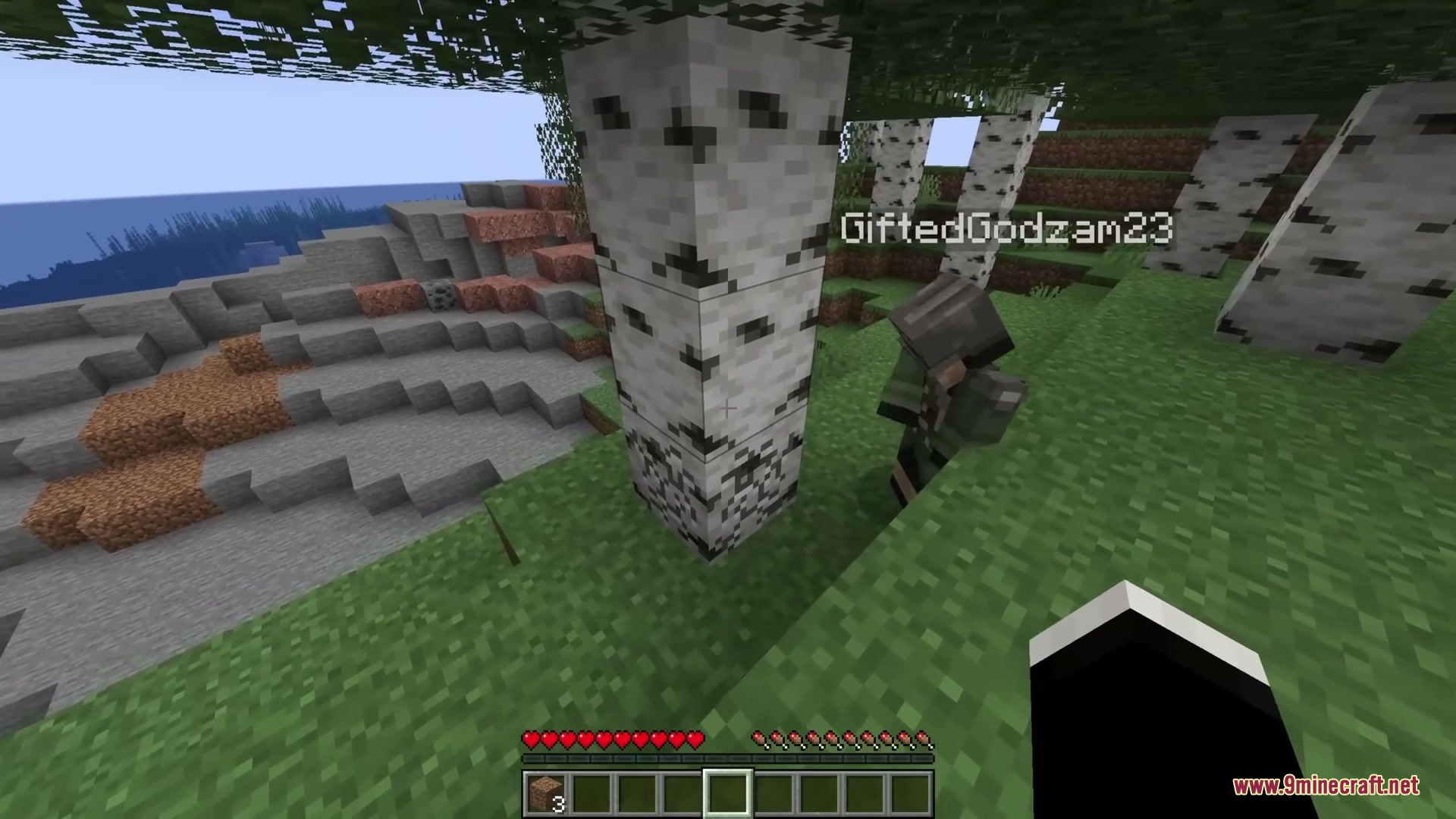 Shared Inventory Mod Screenshot 2 Shared Inventory Mod Screenshot 2